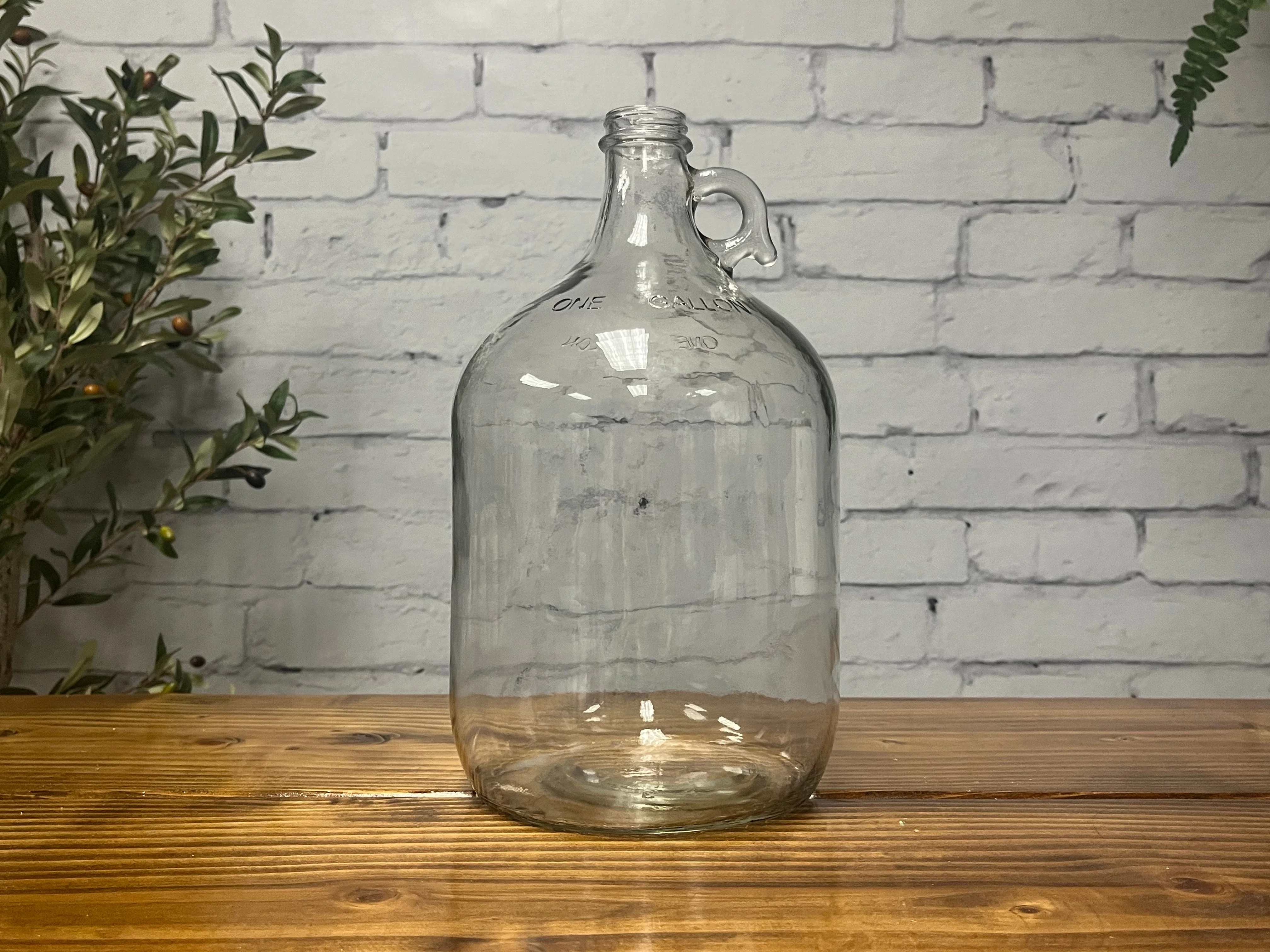 1 Gallon Glass Jug with Cap - Image 2