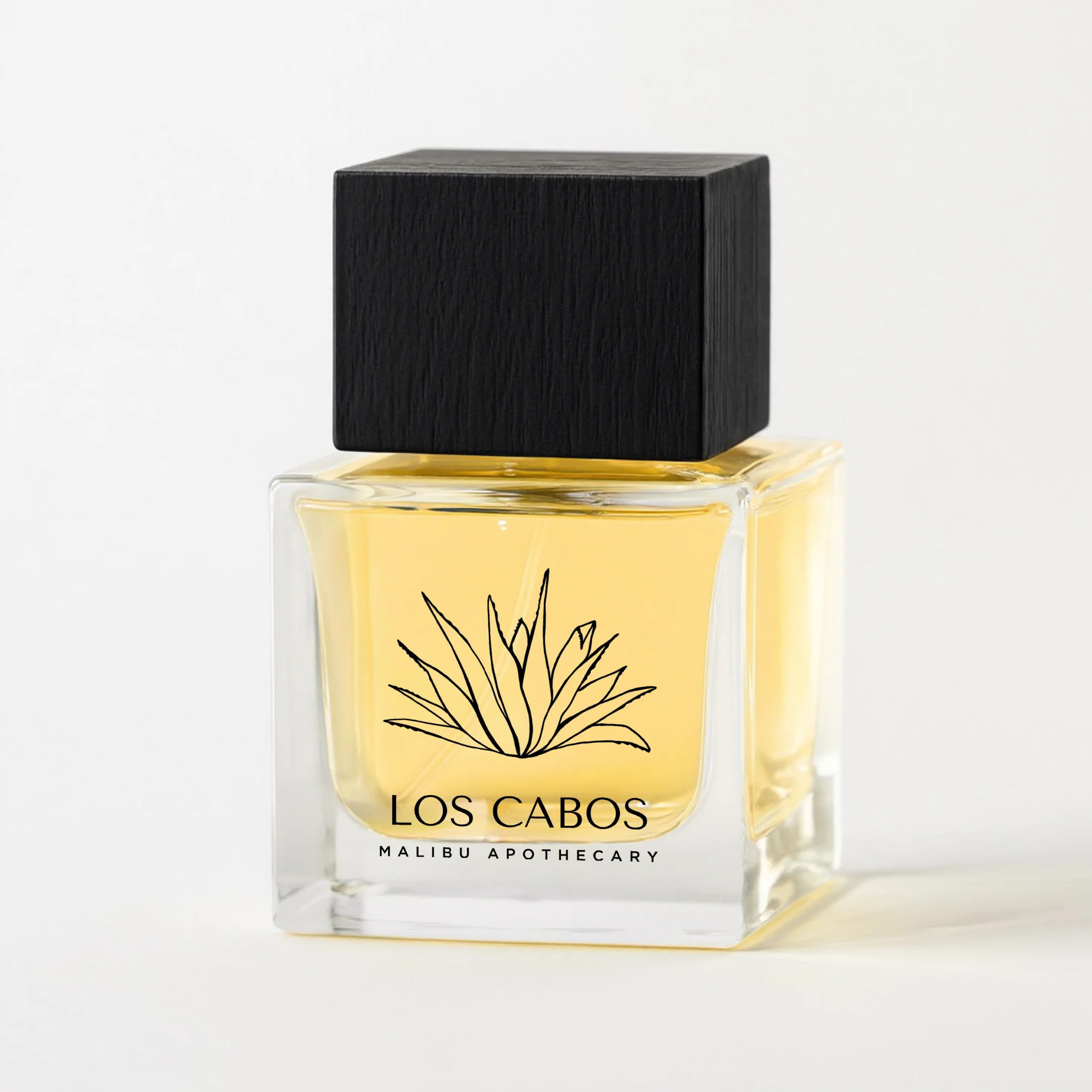 50mL | 1.7fl oz Eau de Parfum - Image 13