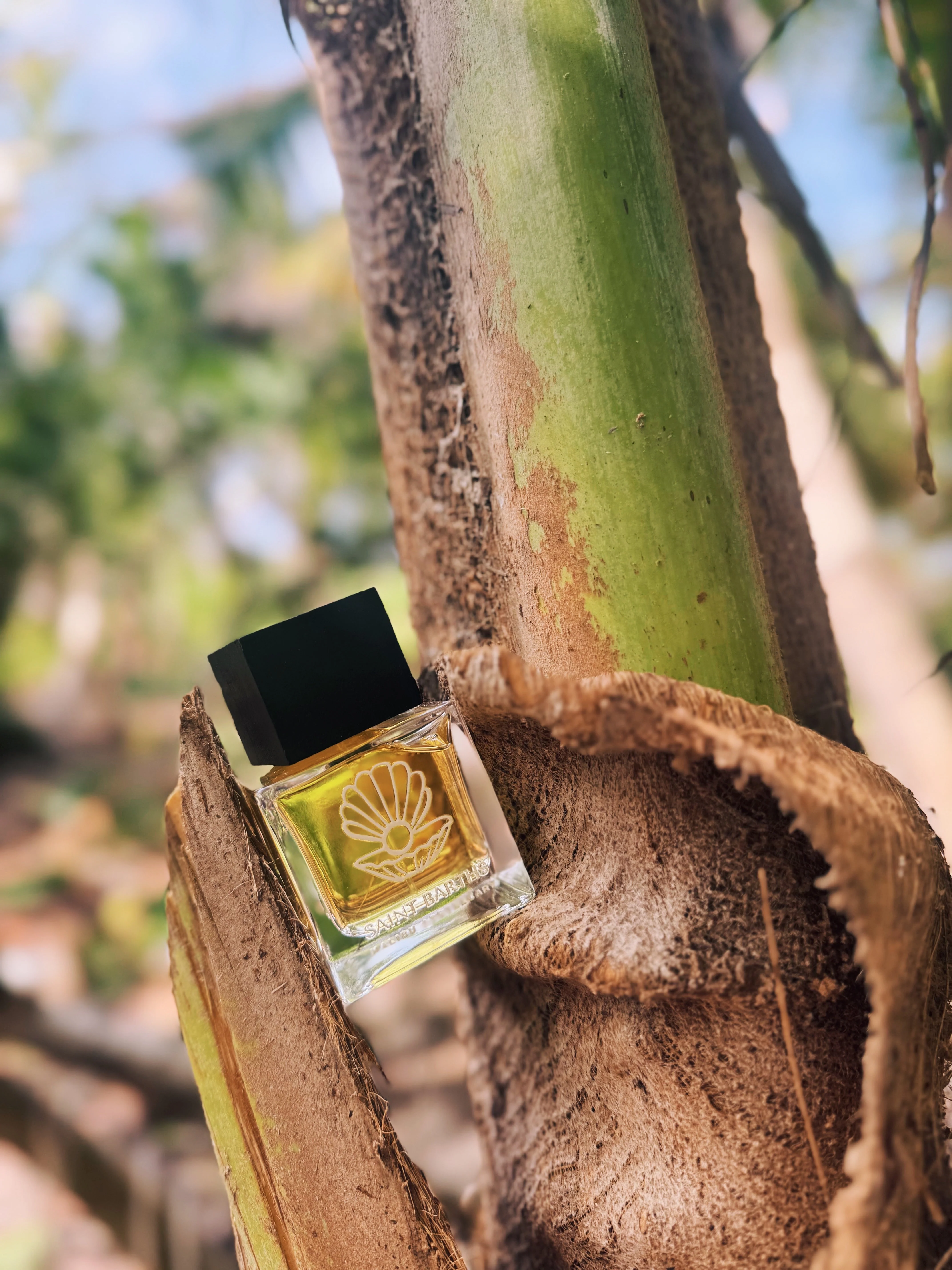 50mL | 1.7fl oz Eau de Parfum - Image 3