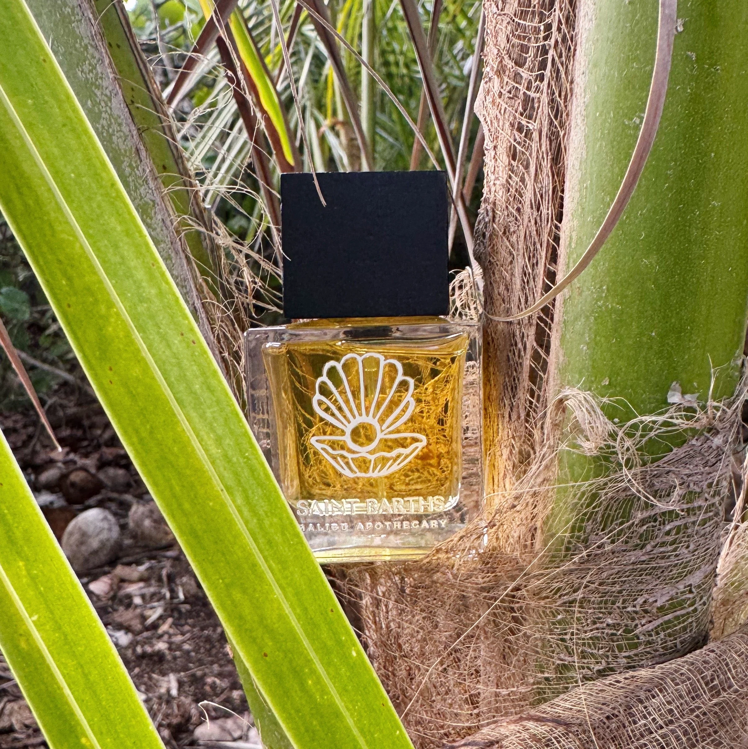 50mL | 1.7fl oz Eau de Parfum - Image 5