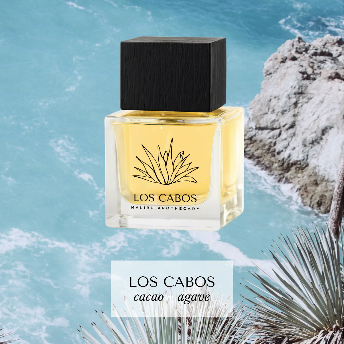 50mL | 1.7fl oz Eau de Parfum - Image 6