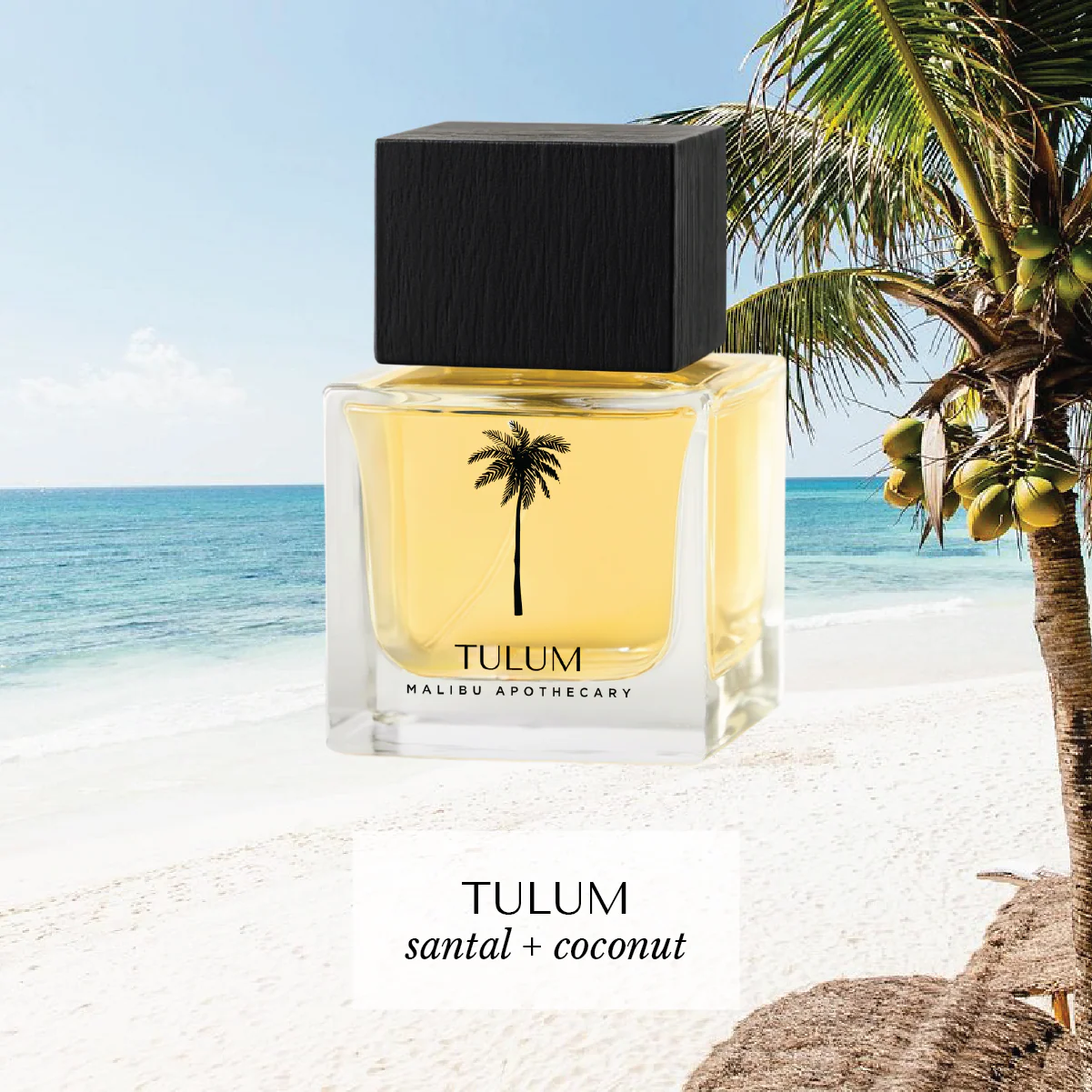 50mL | 1.7fl oz Eau de Parfum - Image 7