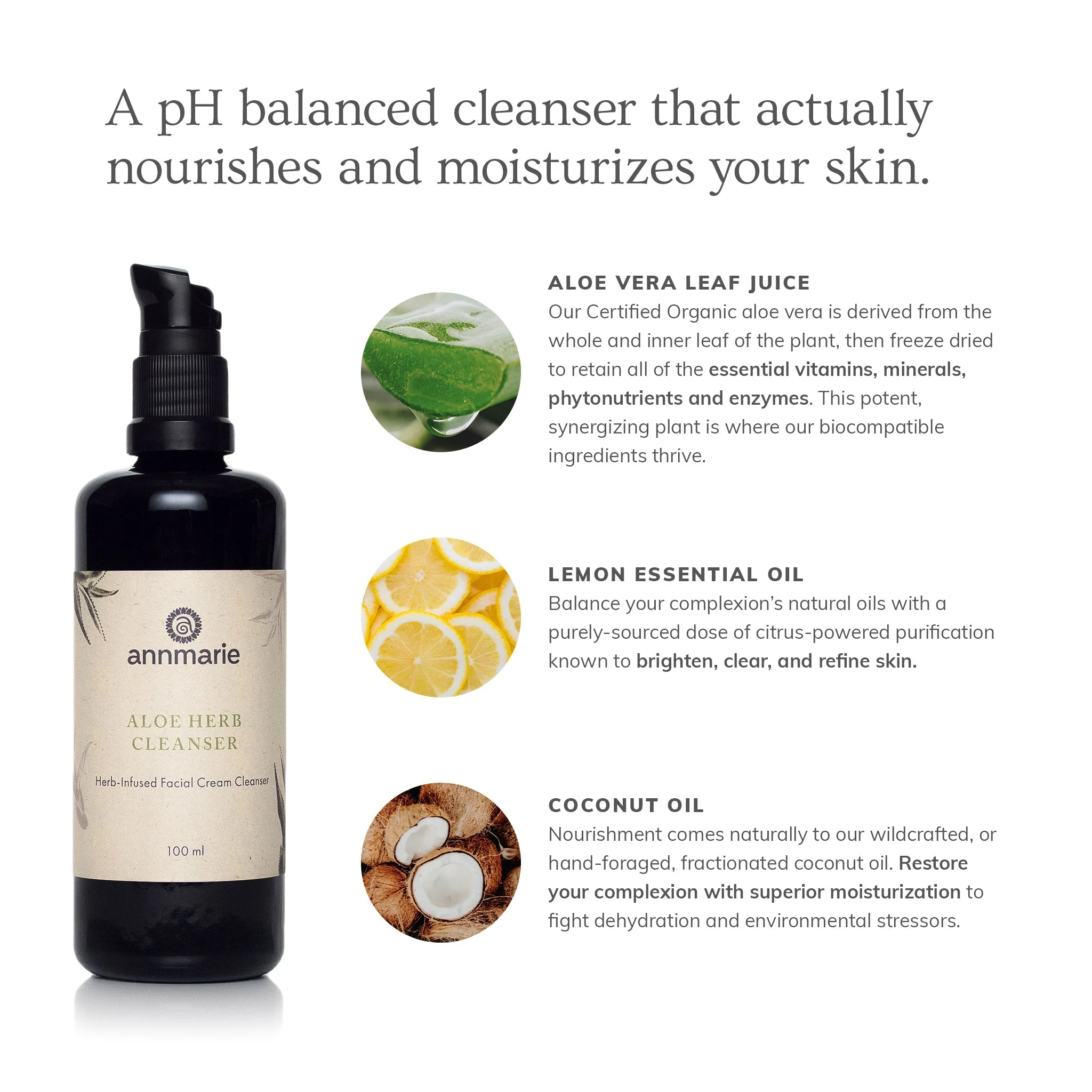 Aloe Herb Cleanser (100ml) - Image 2