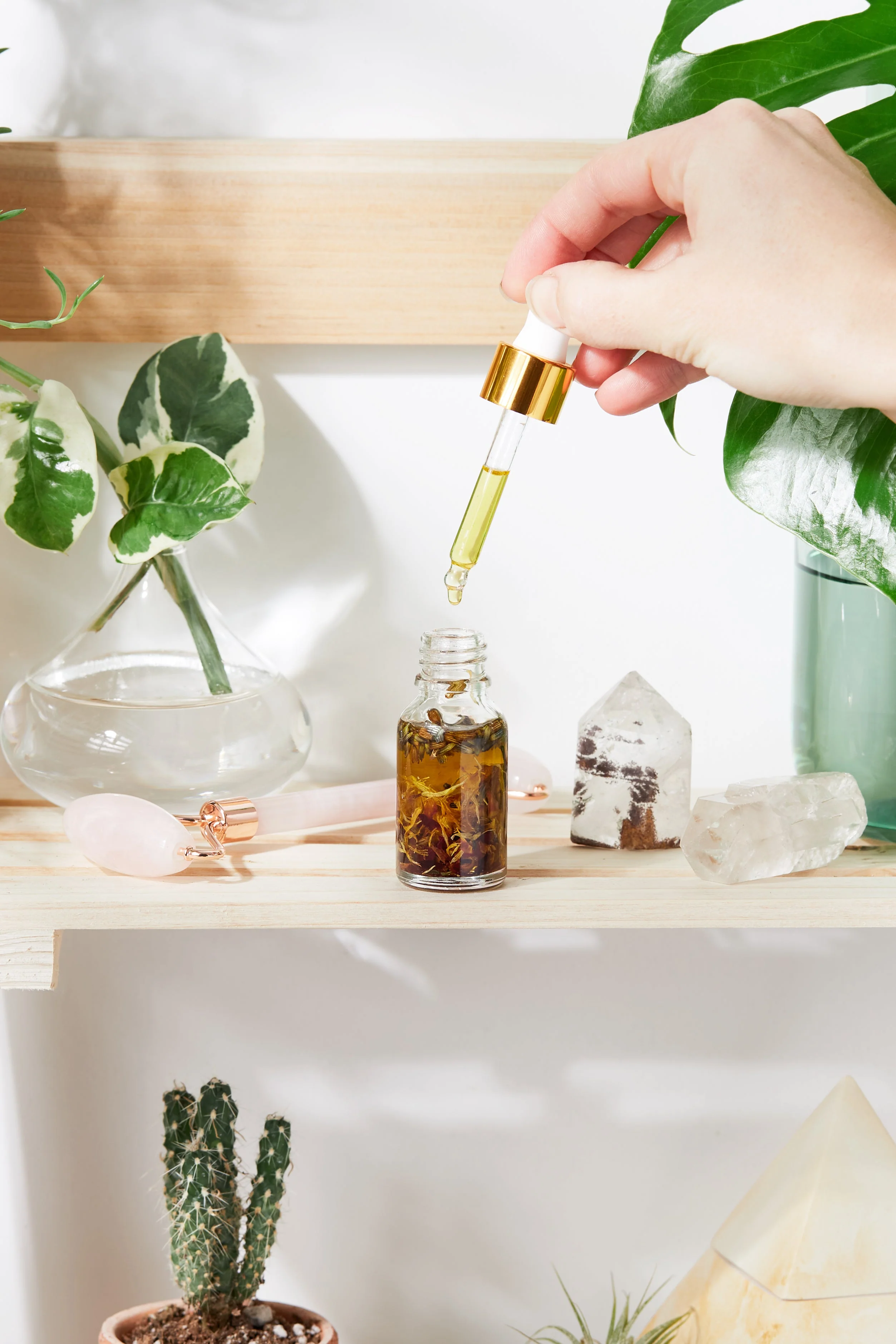 Anti Aging / Youth Serum / Facial Serum / Butter Me Up Organics / Botanical Serum / Herbal Oil / Fine Lines / Wrinkles / Face Oil Organic - Image 2