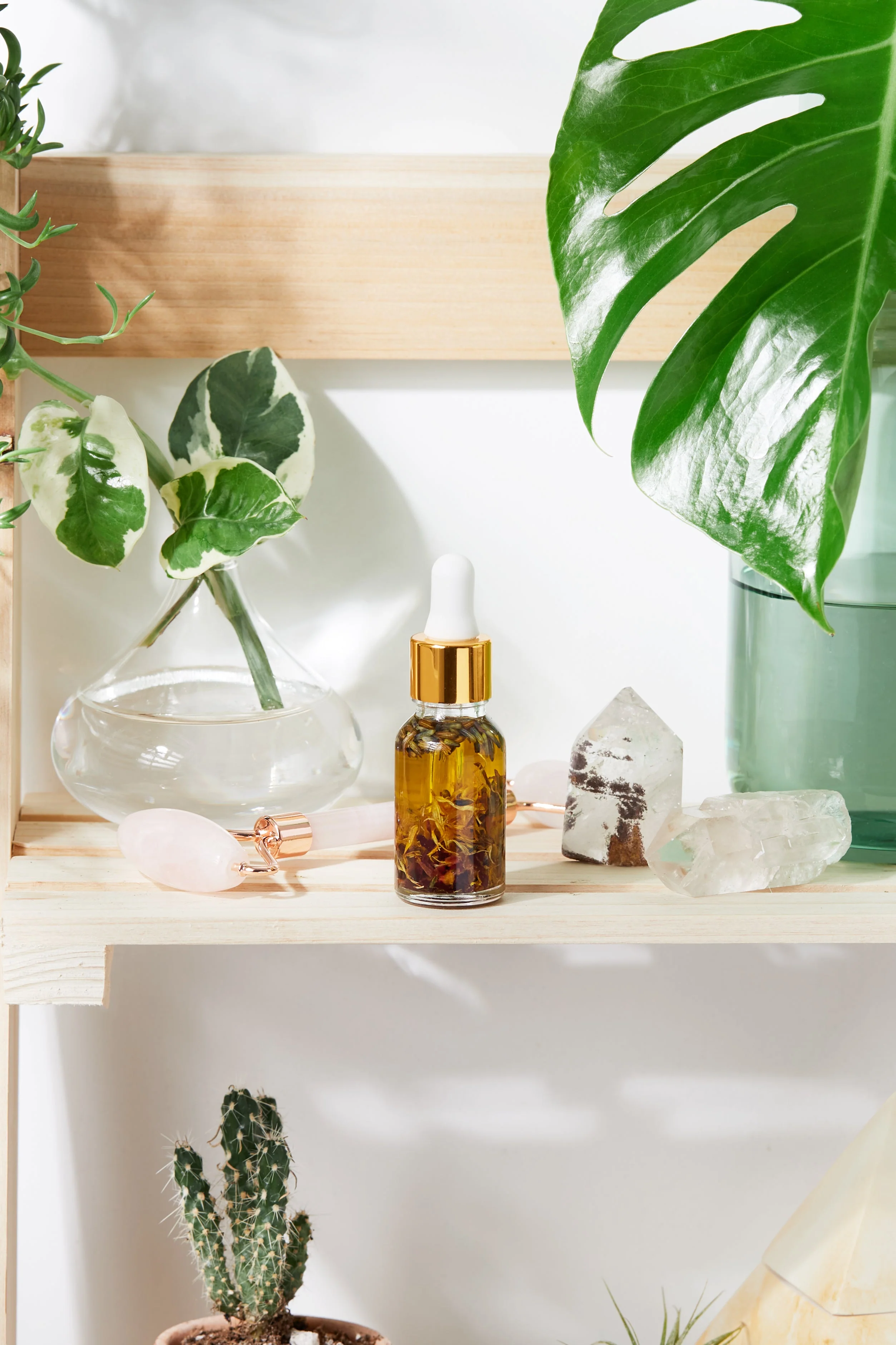 Anti Aging / Youth Serum / Facial Serum / Butter Me Up Organics / Botanical Serum / Herbal Oil / Fine Lines / Wrinkles / Face Oil Organic - Image 4