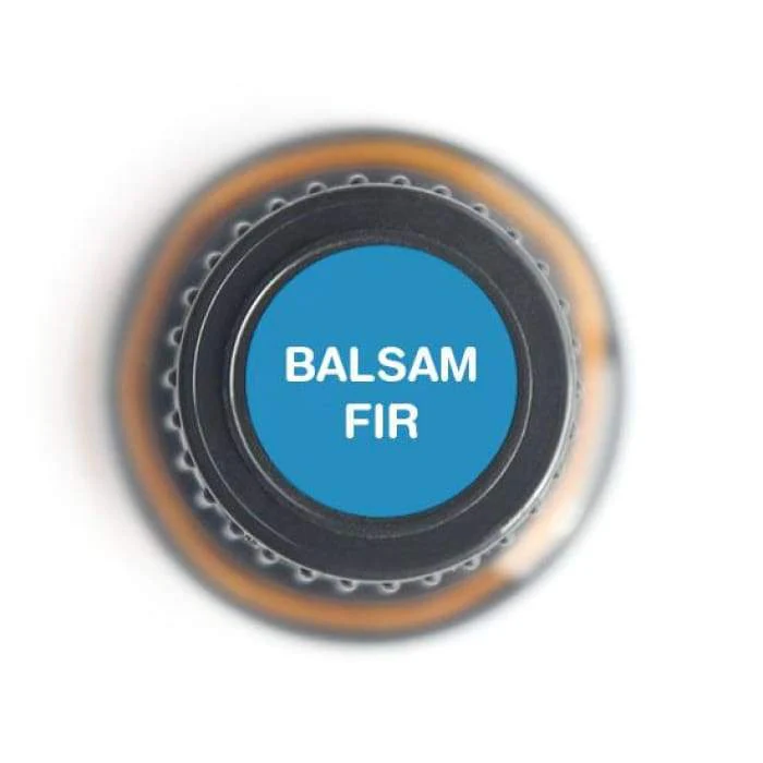 Balsam Fir Pure Essential Oil - 15ml - Image 2