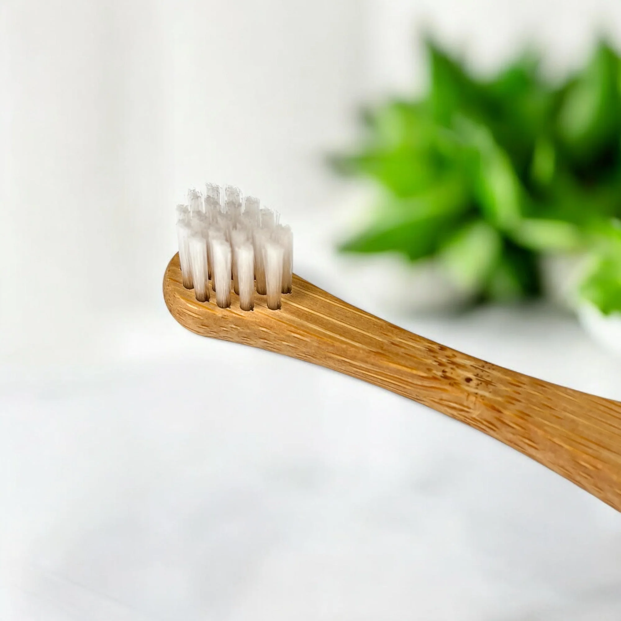 Bamboo Cat Toothbrush - Image 2