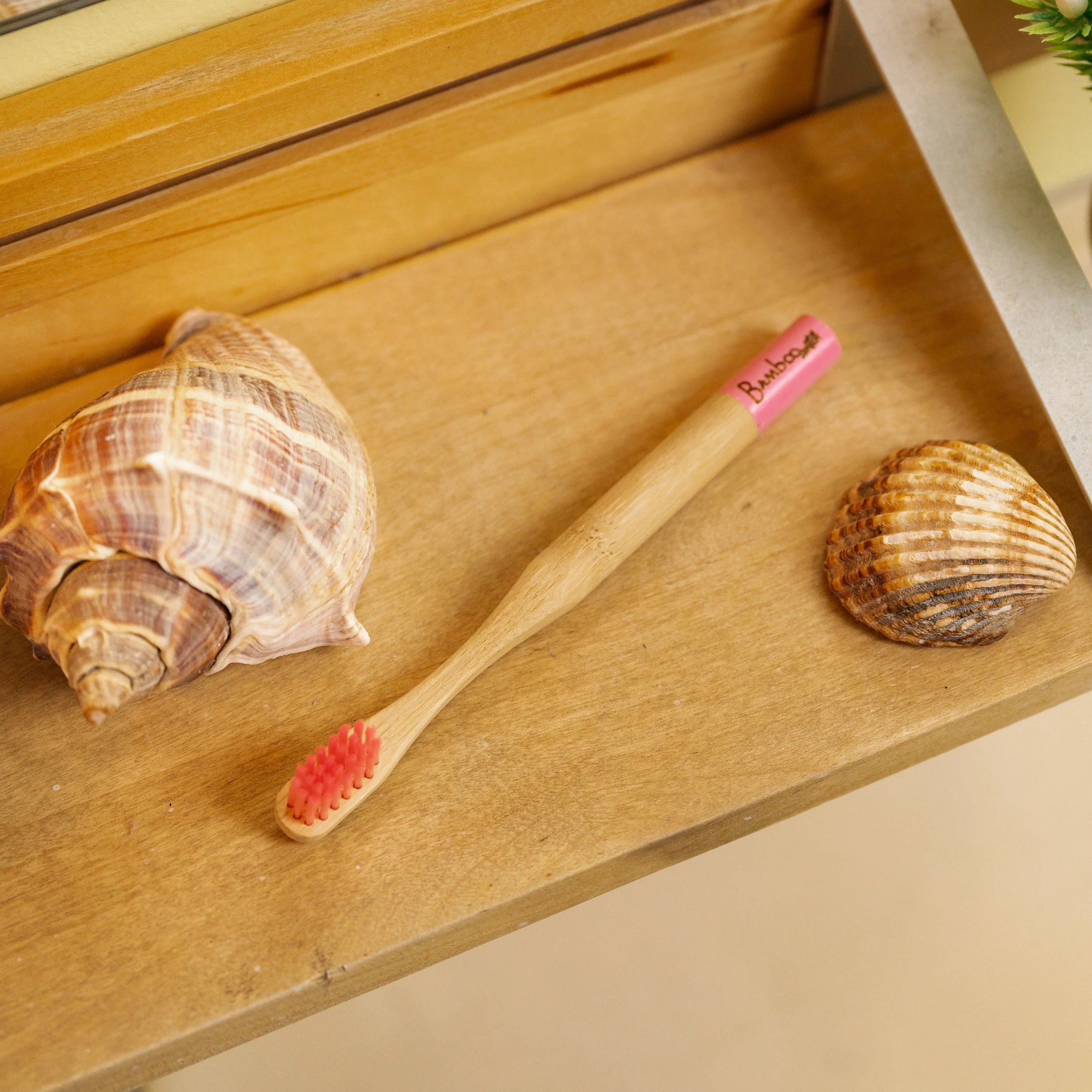 Bamboo Kids Toothbrush | Round Handle - Image 7