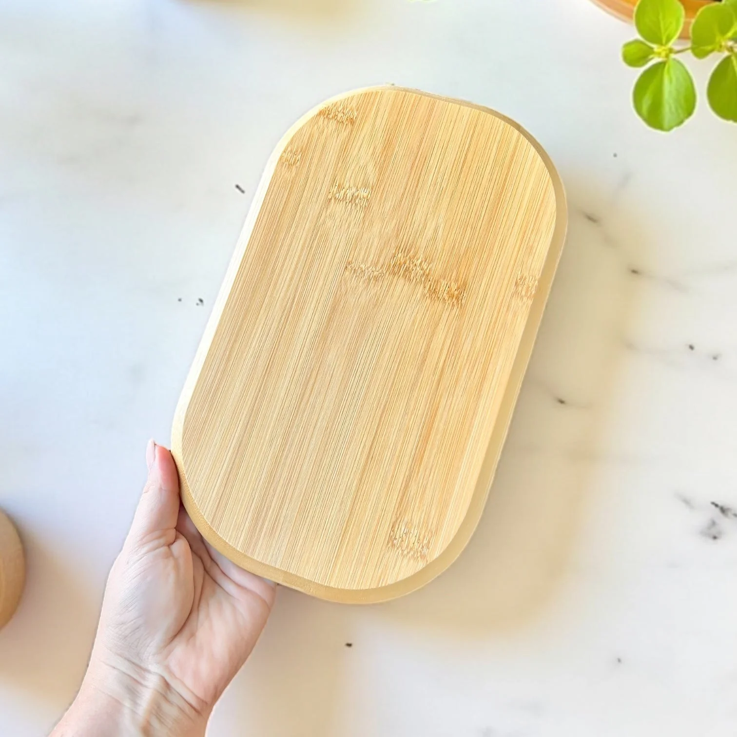 Bamboo Plate | Sectioned - Image 3