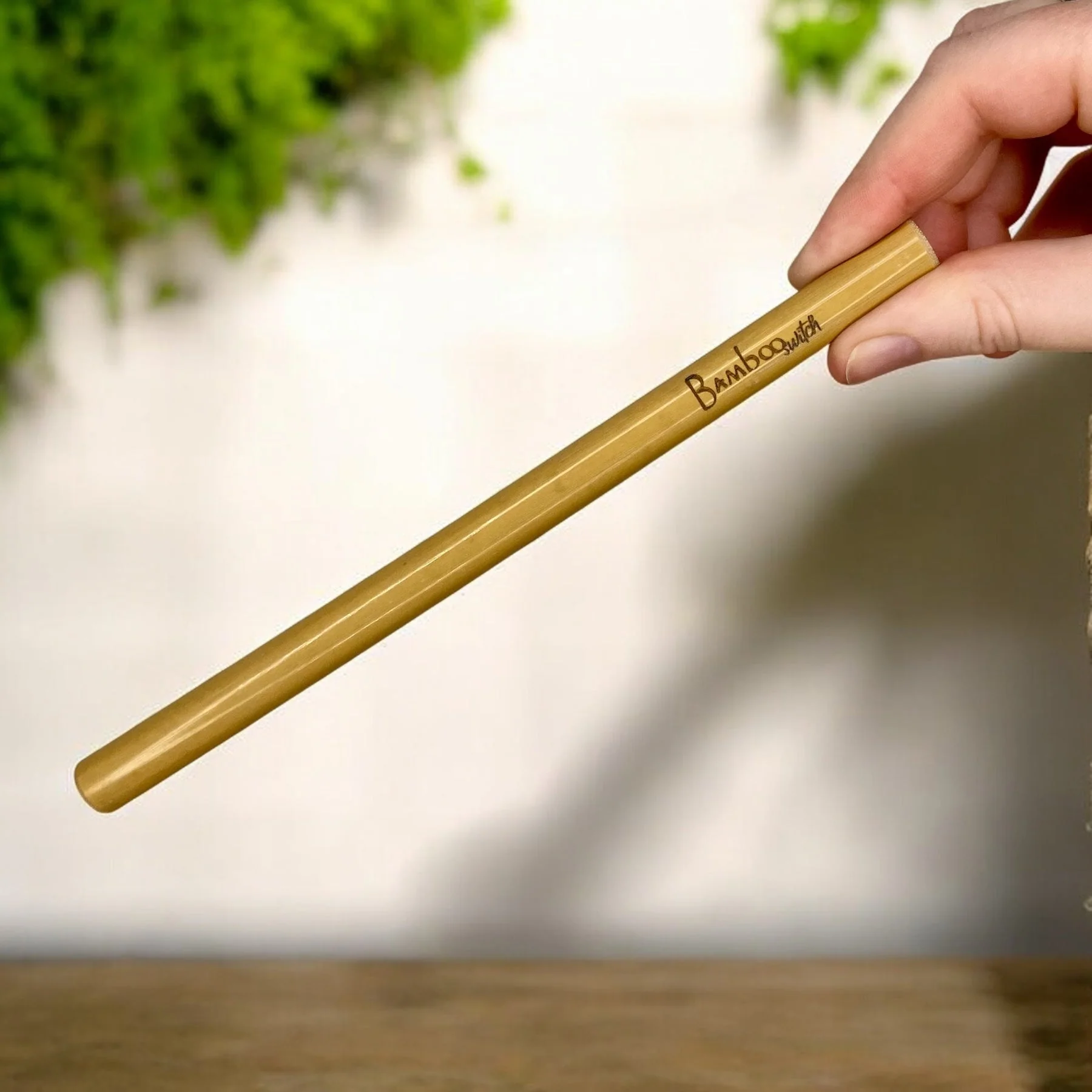 Bamboo Straw in Travel Case - Image 2
