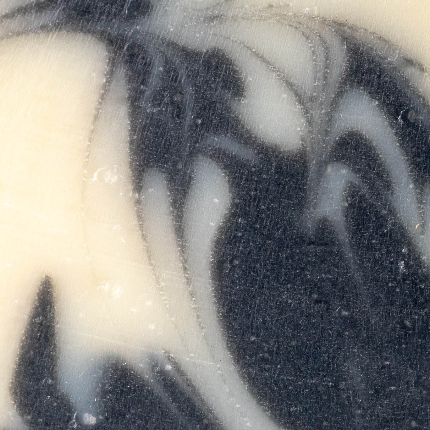 Bar Soap | Detoxifying Charcoal - Image 5