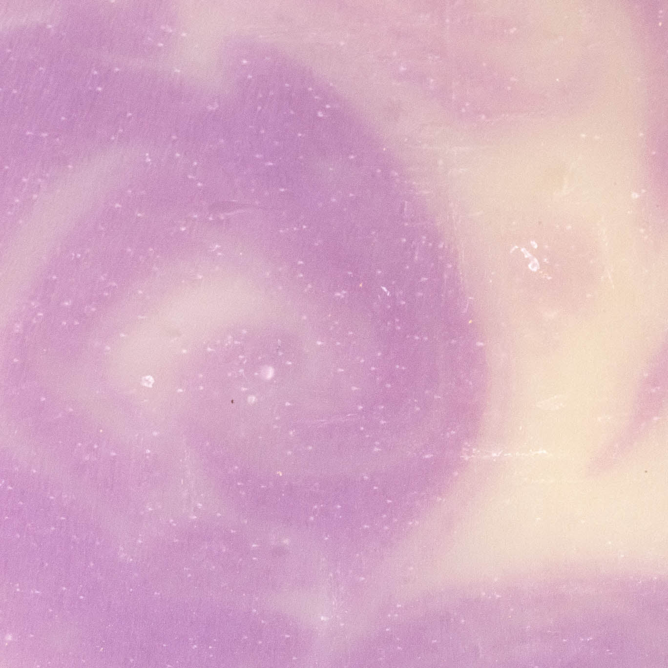 Bar Soap | Lavender - Image 5