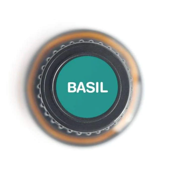 Basil Pure Essential Oil - 15ml - Image 2