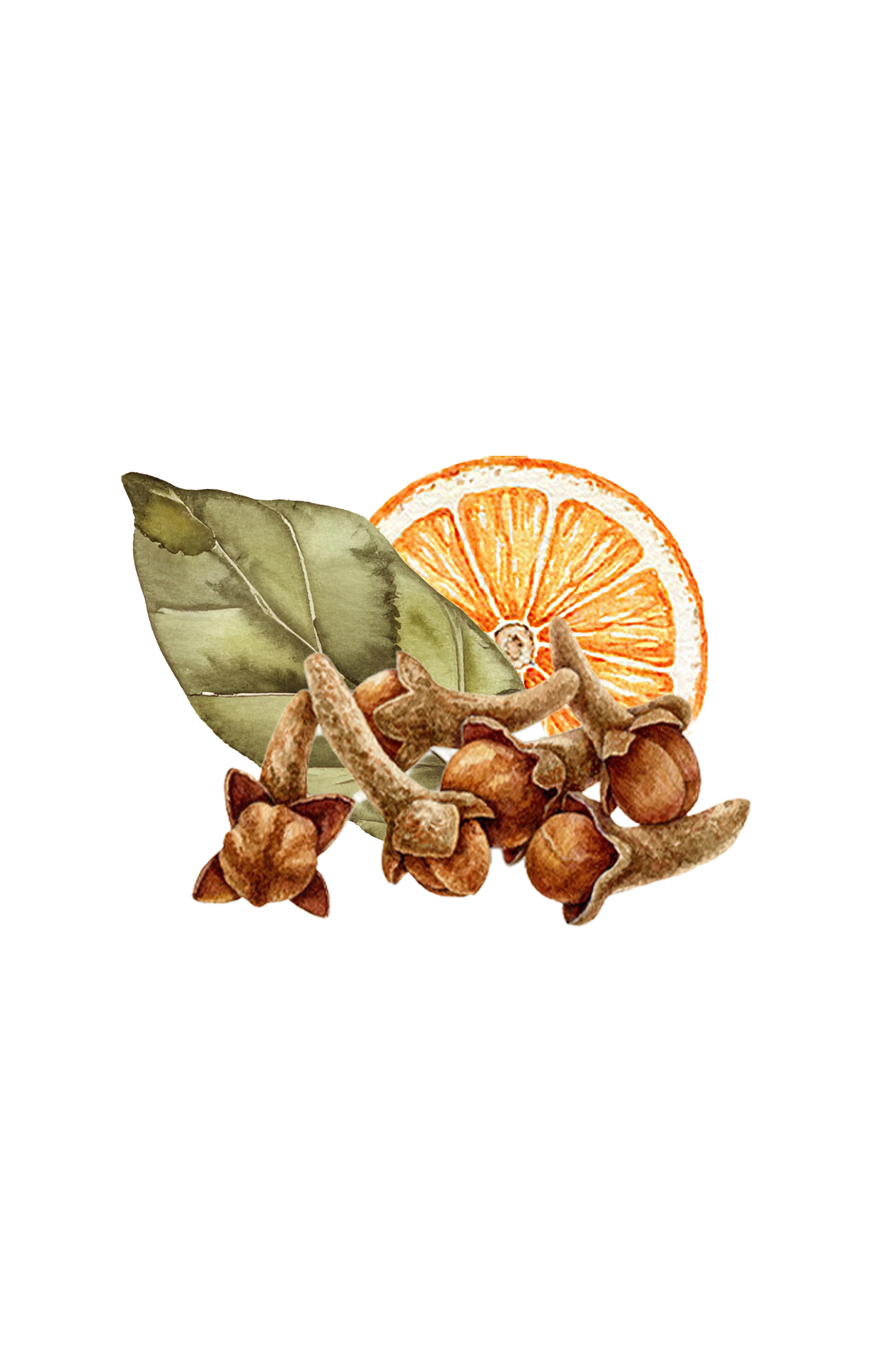 Bay Spice Essential Oil Blend - Image 2