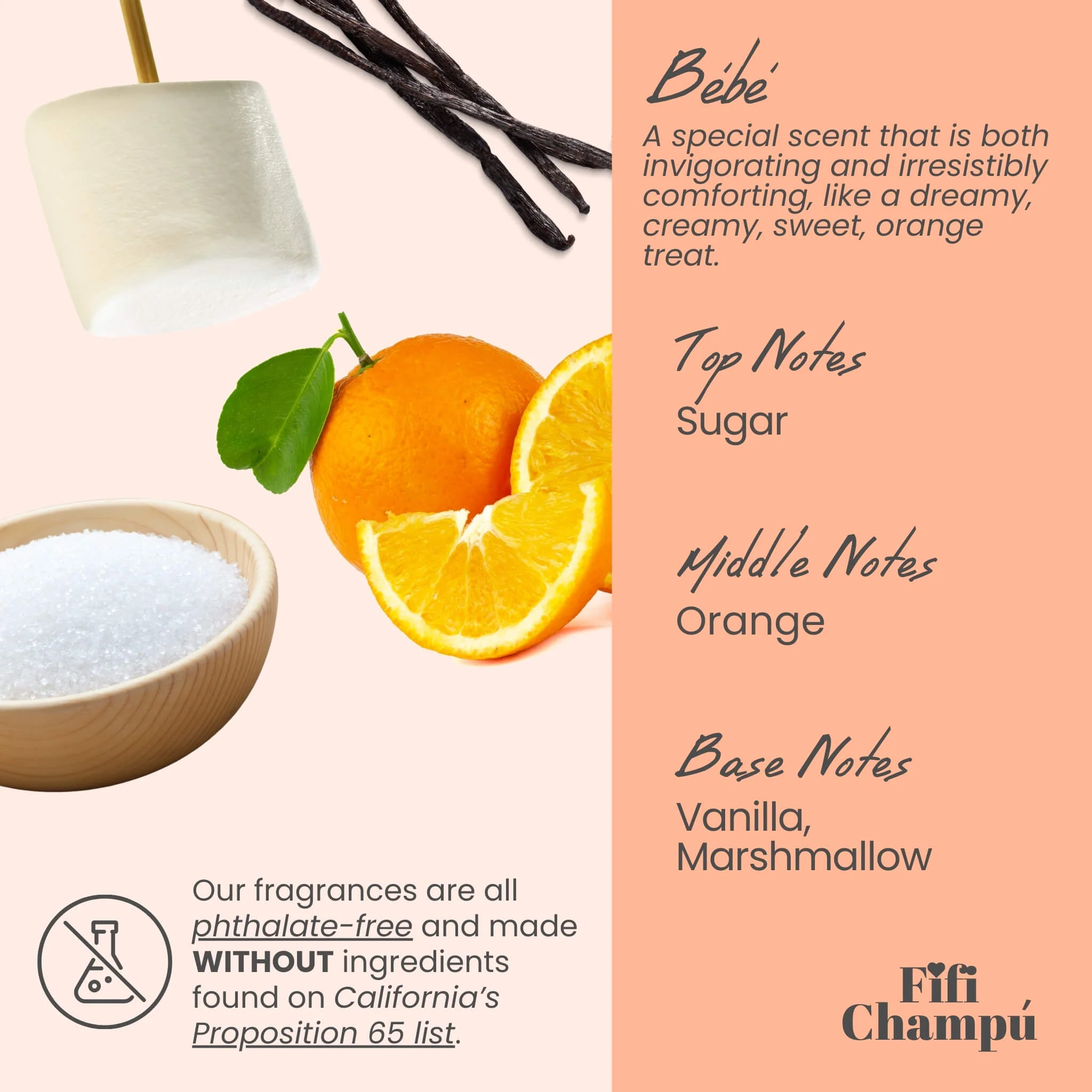 Bébé Conditioner Bar: Lightweight Moisture for Fine Hair and Sensitive Scalps - Image 4
