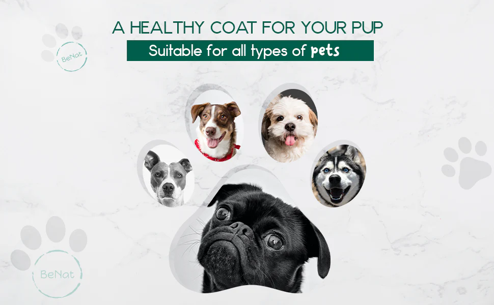 BeNat Pets. All-Natural Pet Shampoo Bar. Oat. 5.8 oz. - Image 5