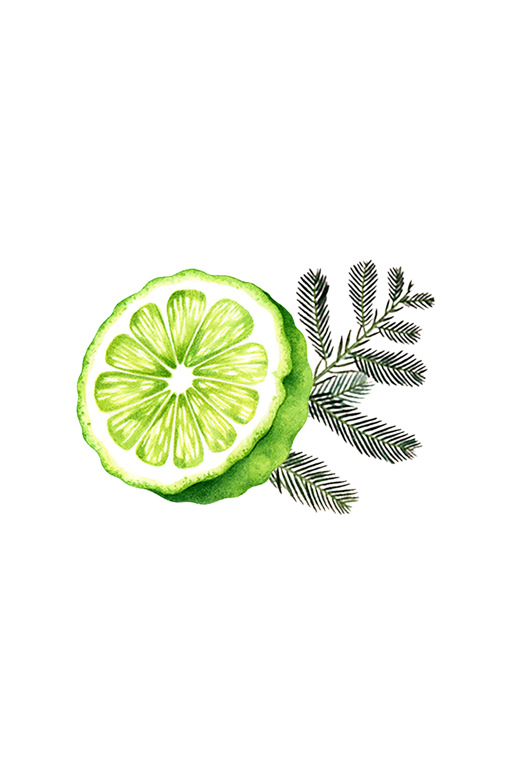 Bergamot & Cypress Essential Oil Blend - Image 2