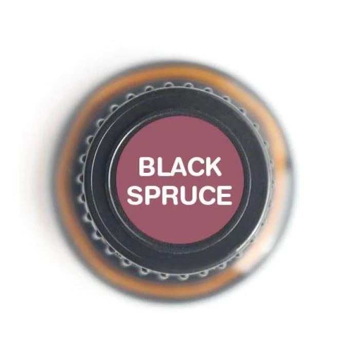 Black Spruce Pure Essential Oil - 15ml - Image 2