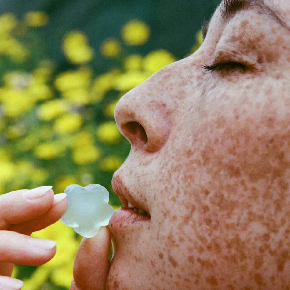 BLOOM DELUXE SAMPLE - Image 2