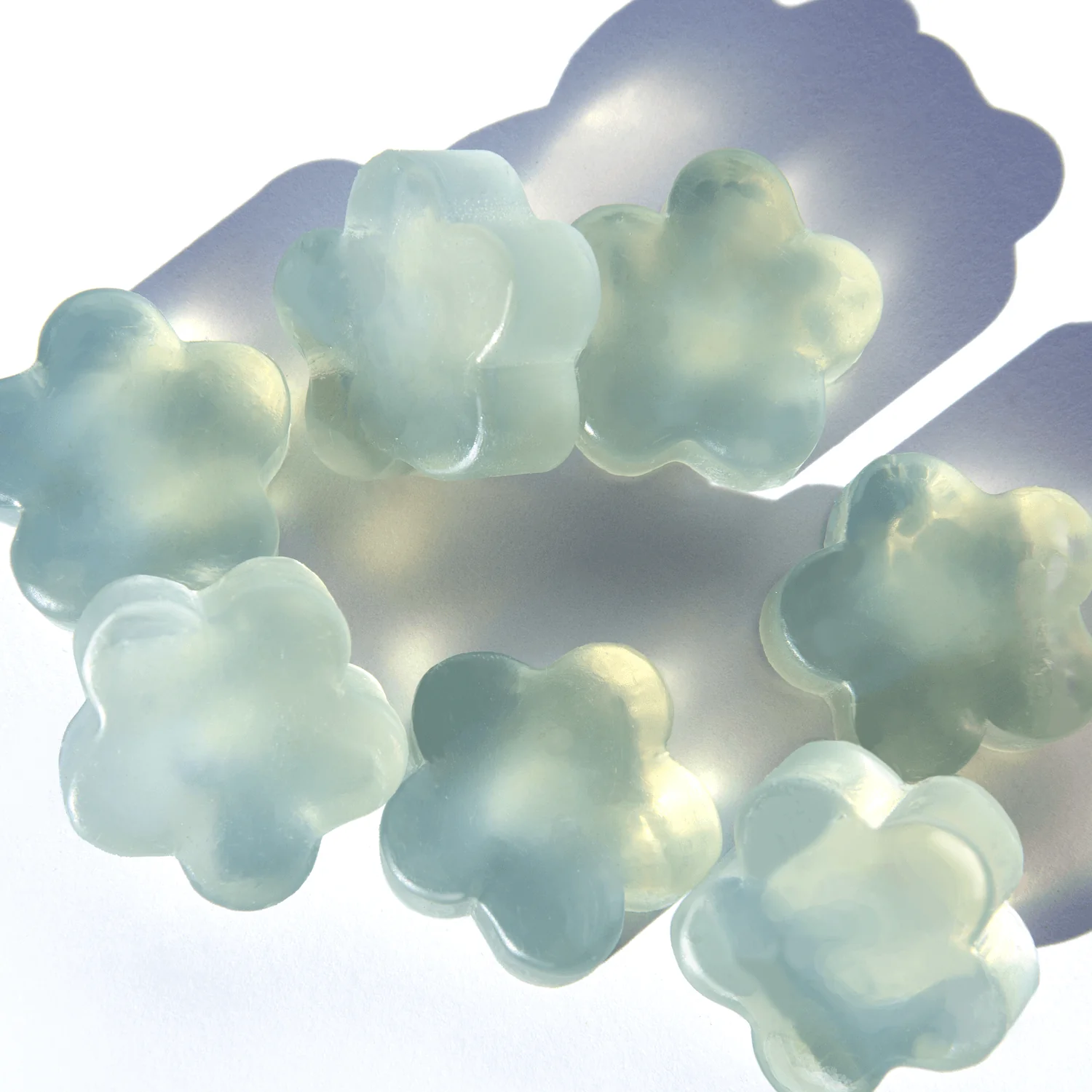 BLOOM DELUXE SAMPLE - Image 4