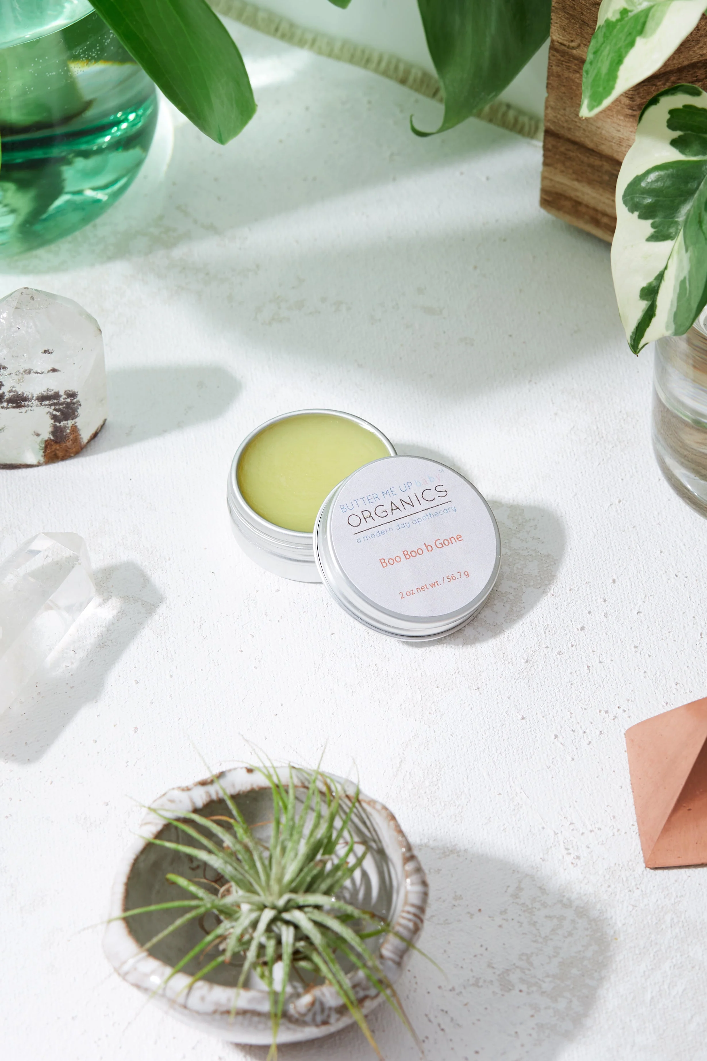 Boo Boo b Gone / Natural Neosporin / Healing Wound Salve - Image 2