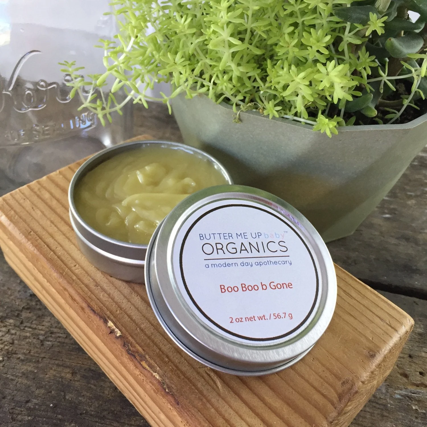 Boo Boo b Gone / Natural Neosporin / Healing Wound Salve - Image 6