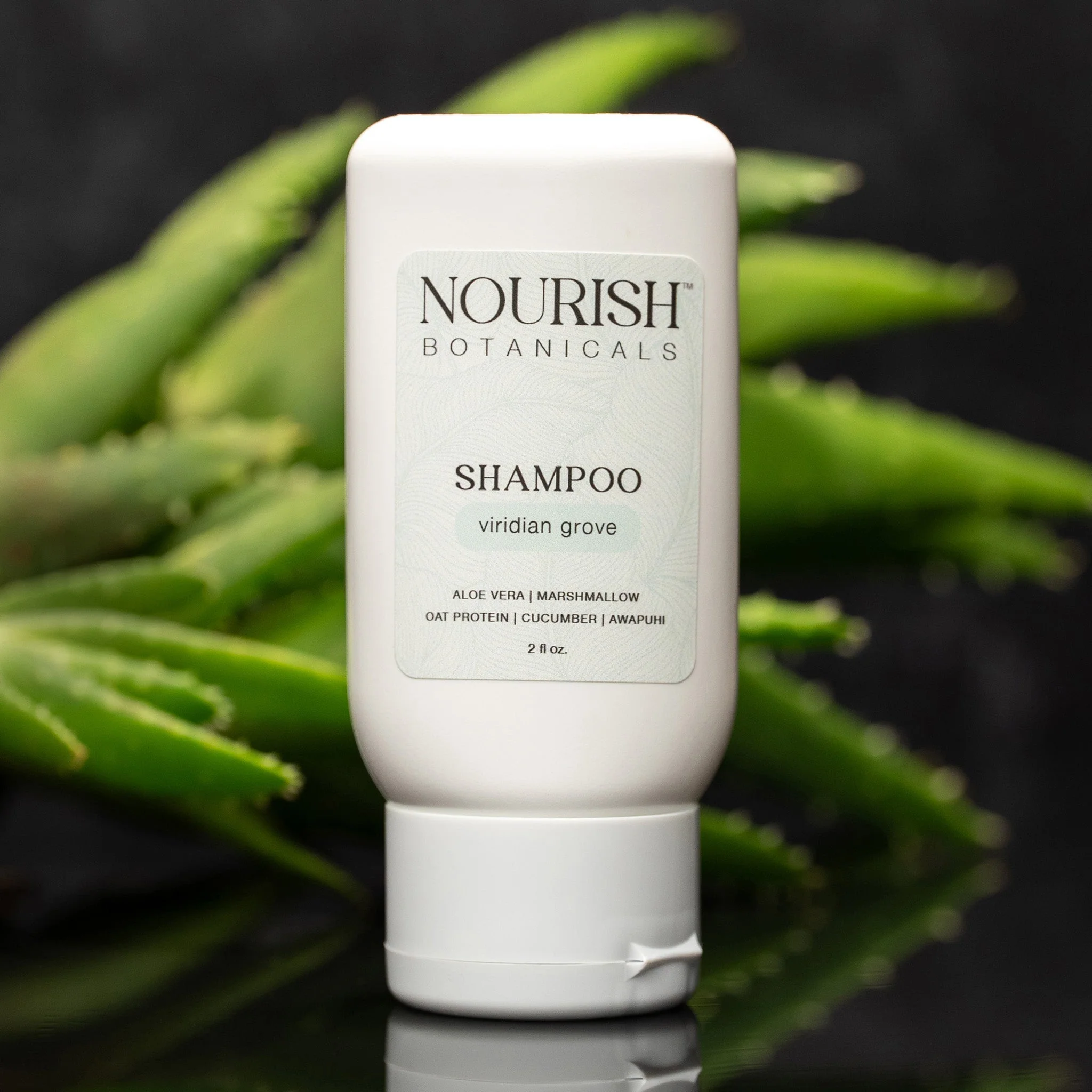 Botanical Sample Set | Viridian Grove - Image 3