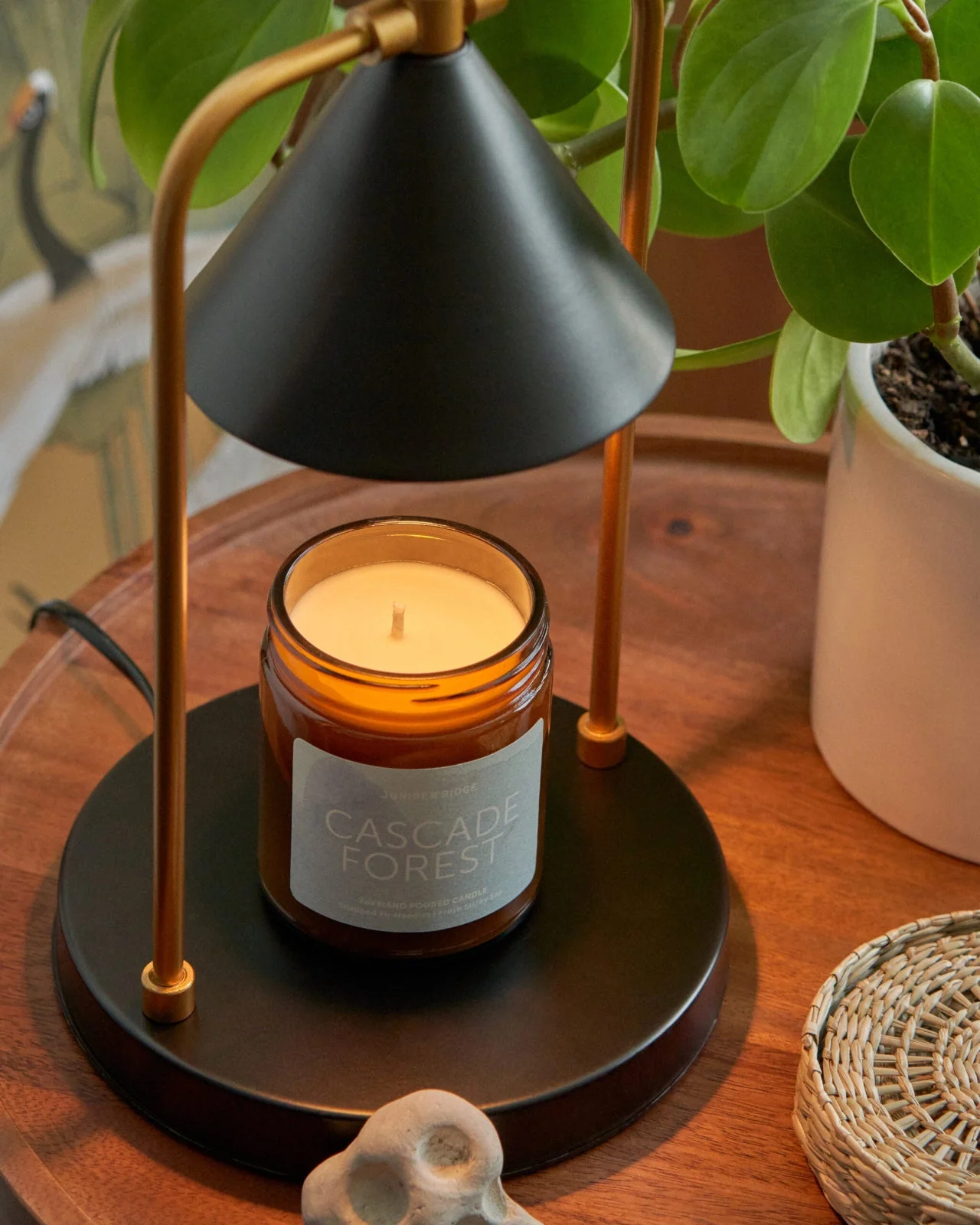 Cascade Forest Essential Oil Candle - Image 4