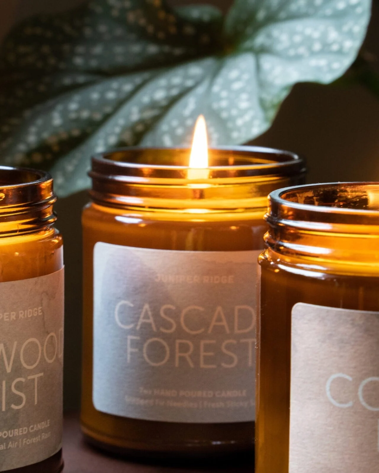 Cascade Forest Essential Oil Candle - Image 6