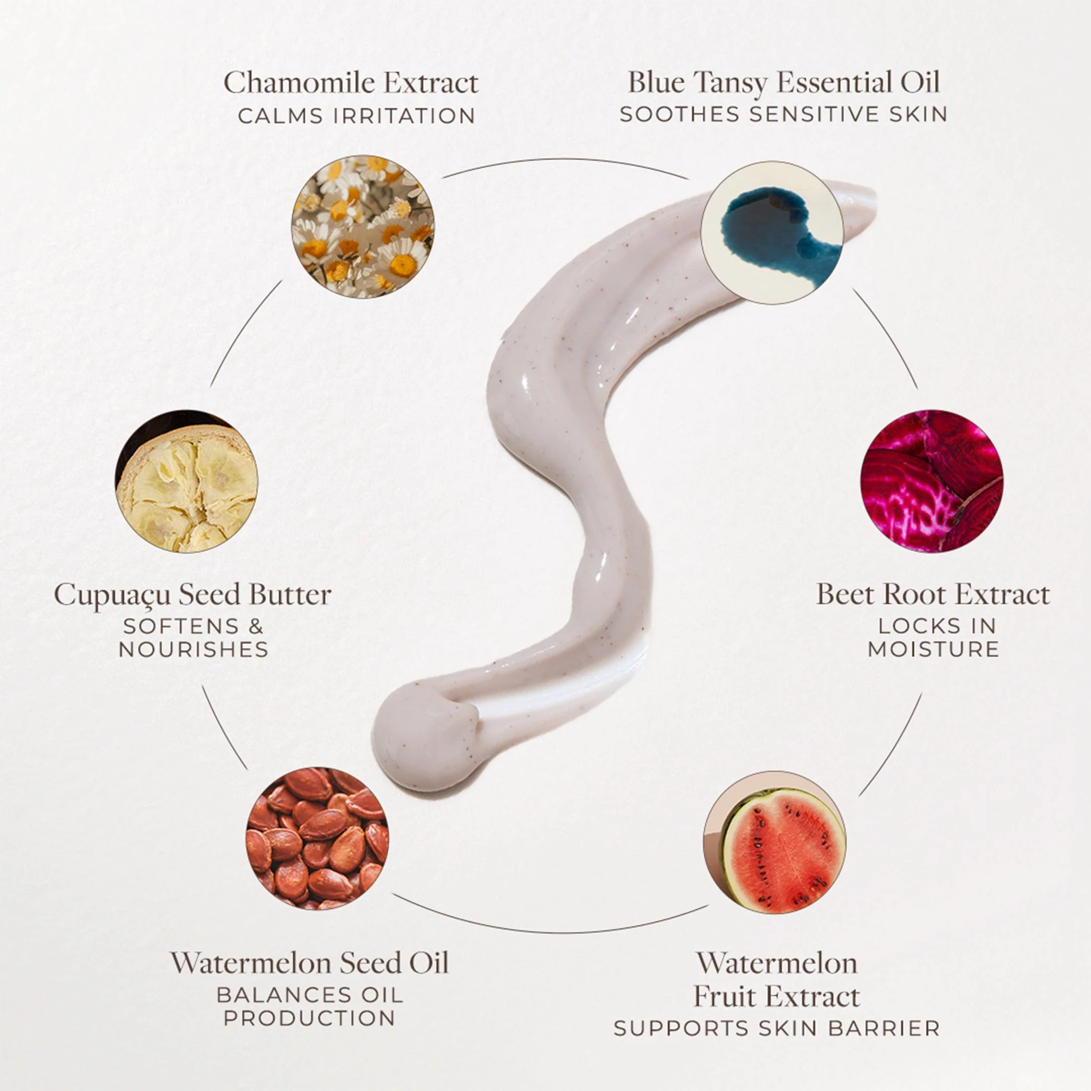 Chamomile & Tansy Hydrating Cream Cleanser - Image 5