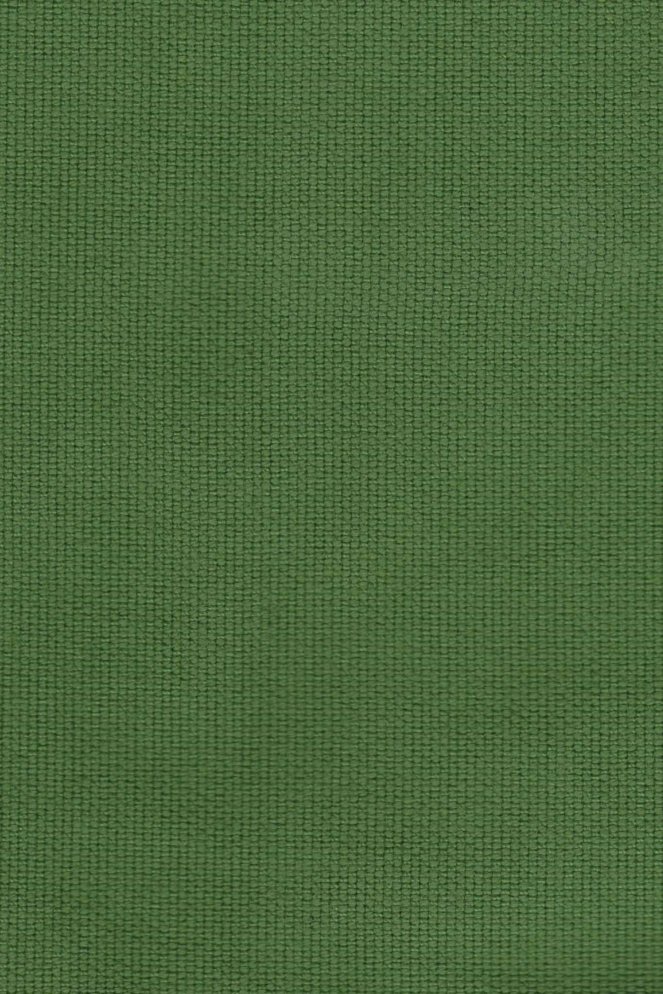 Cinema Pants in Leaf Green - Image 5