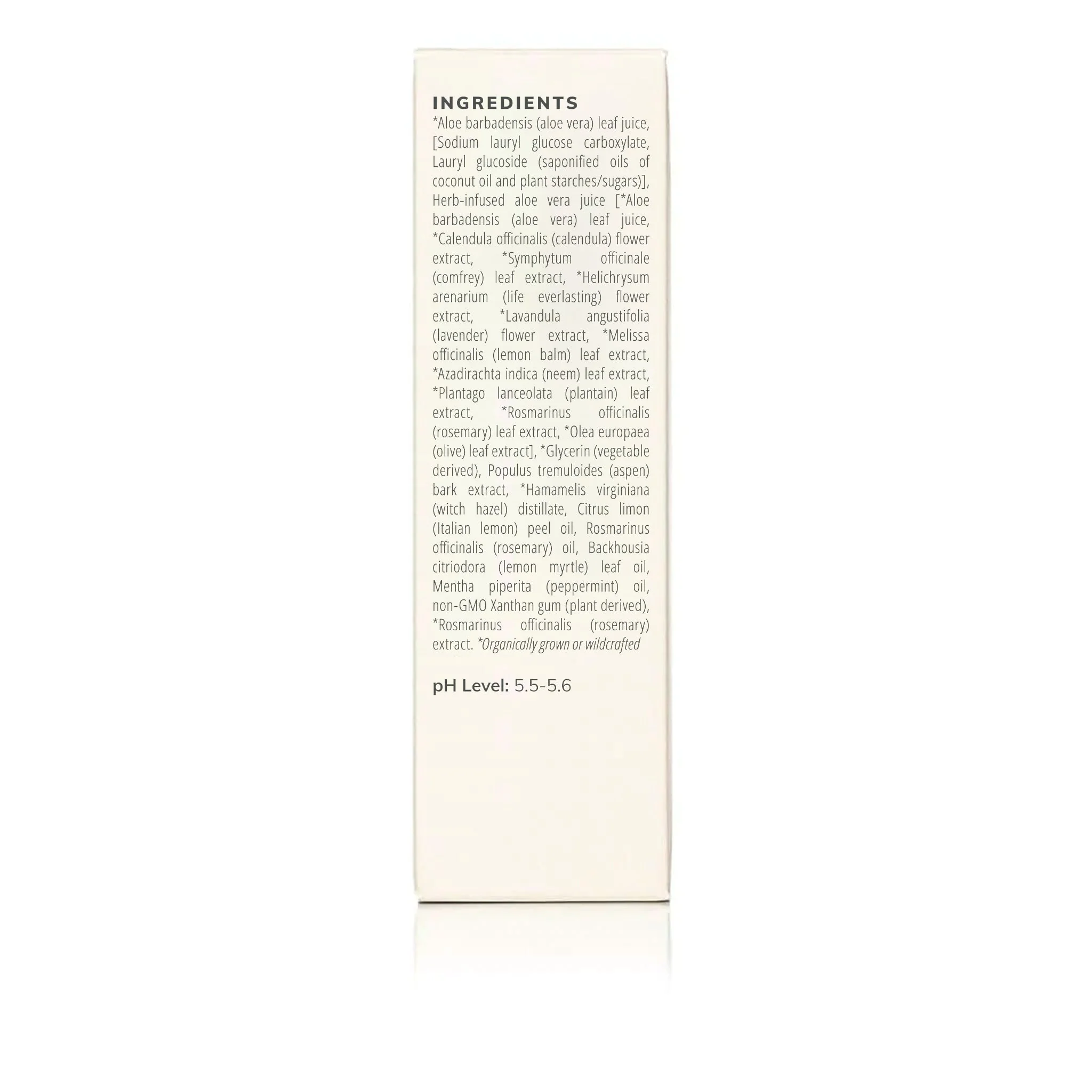 Citrus Mint Cleanser (100ml)- Collective - Image 6