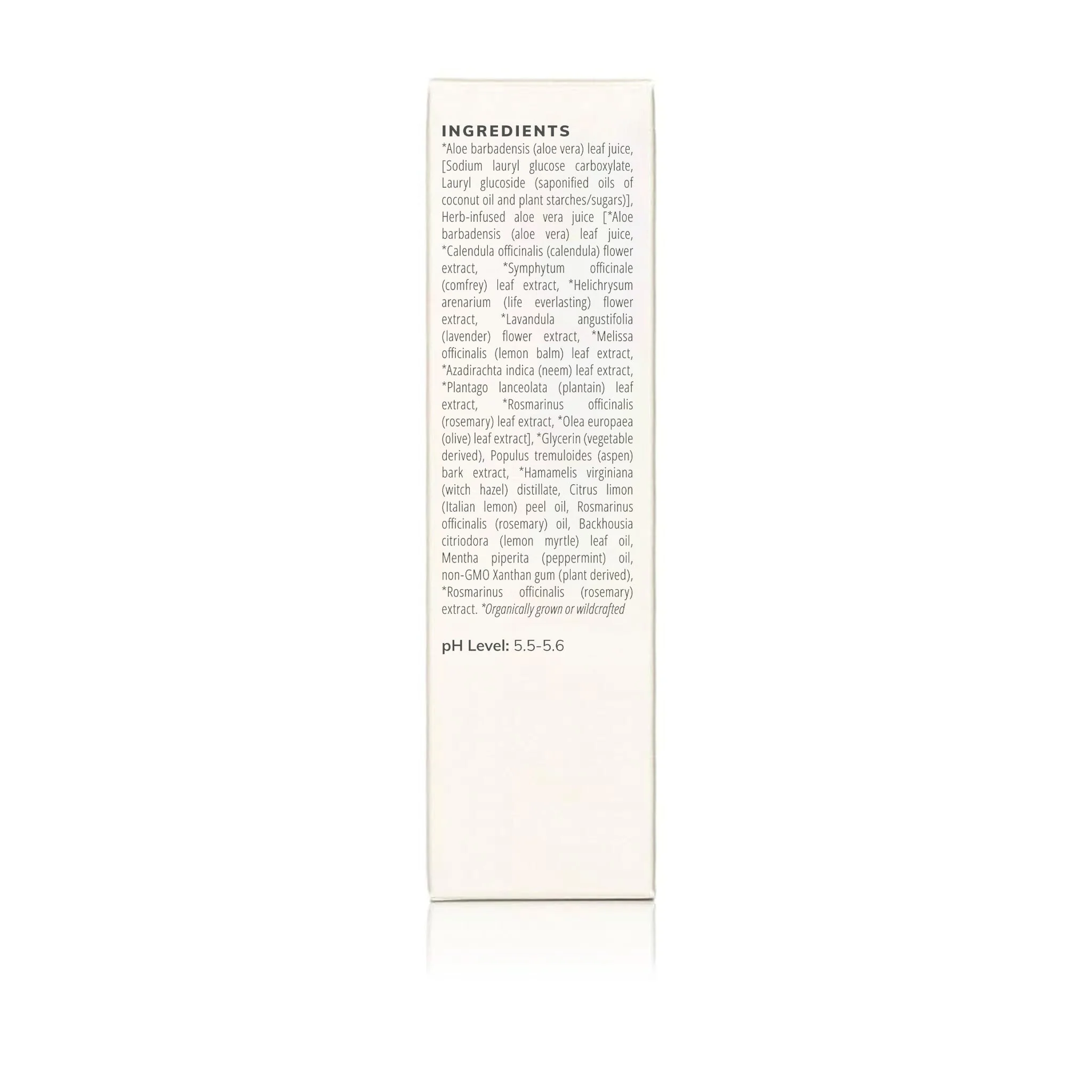 Citrus Mint Cleanser (50ml) - Image 6
