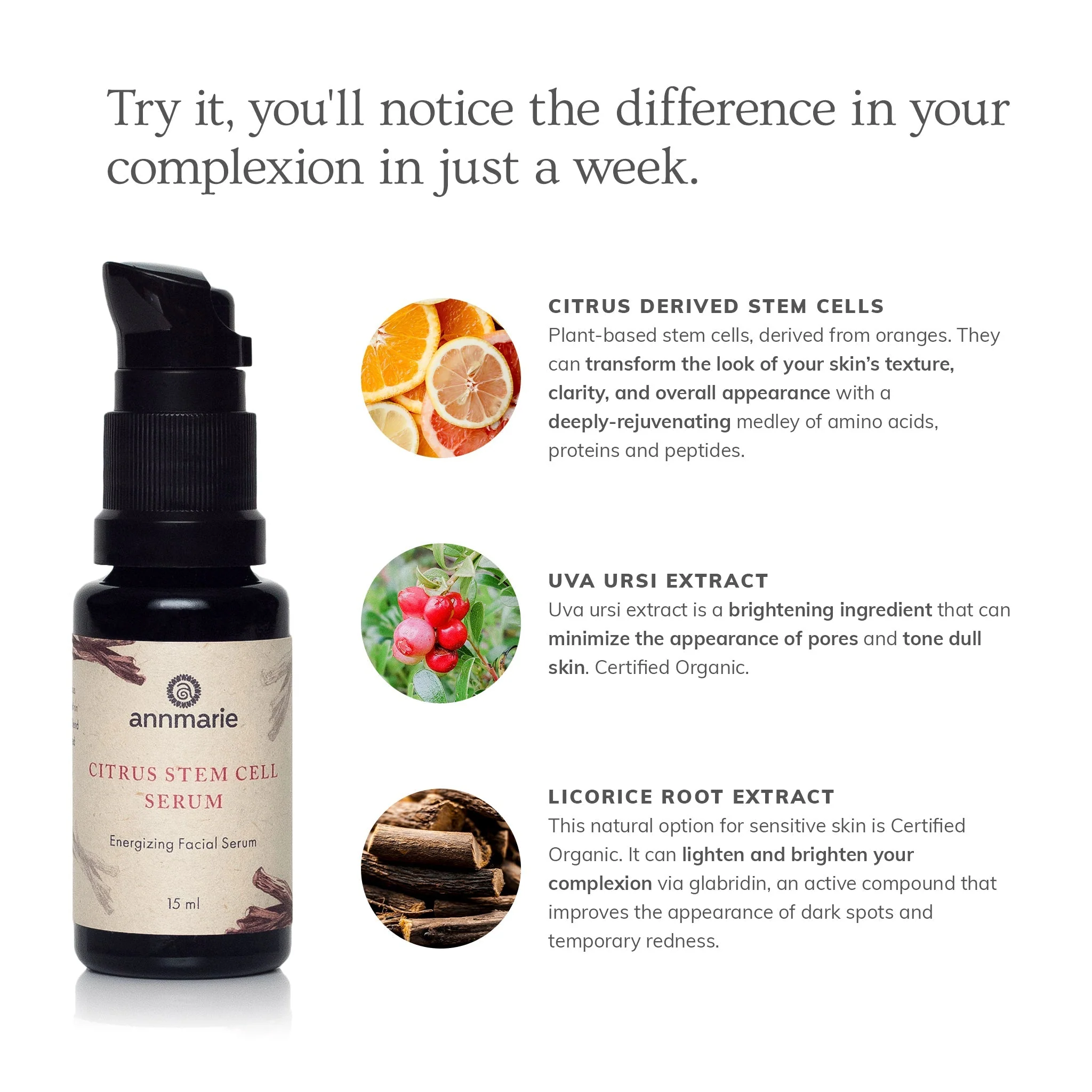 Citrus Stem Cell Serum (15ml) - Image 2