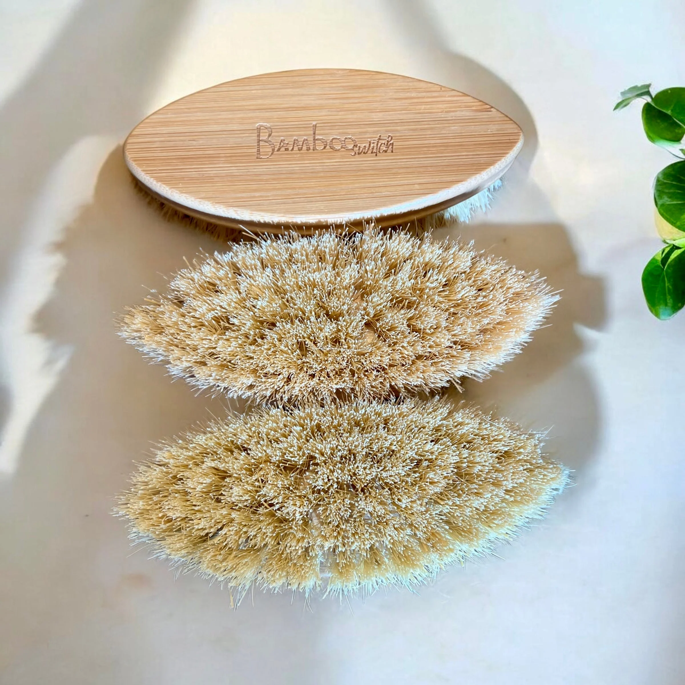 Cleaning Brush - Sisal Bristle - Image 2