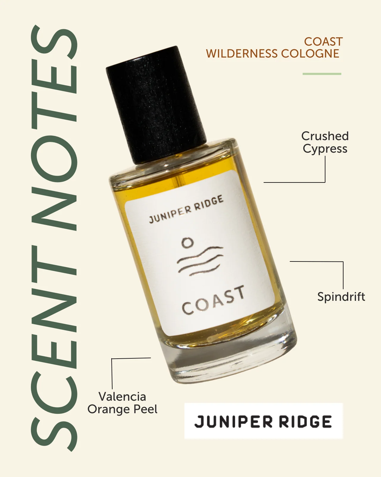 Coast Wilderness Cologne - Image 3