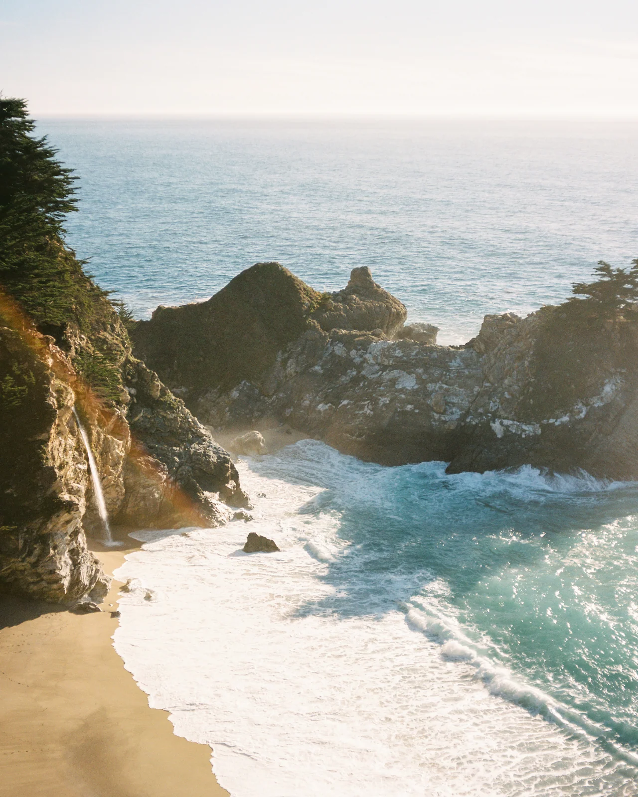 Coast Wilderness Cologne - Image 4