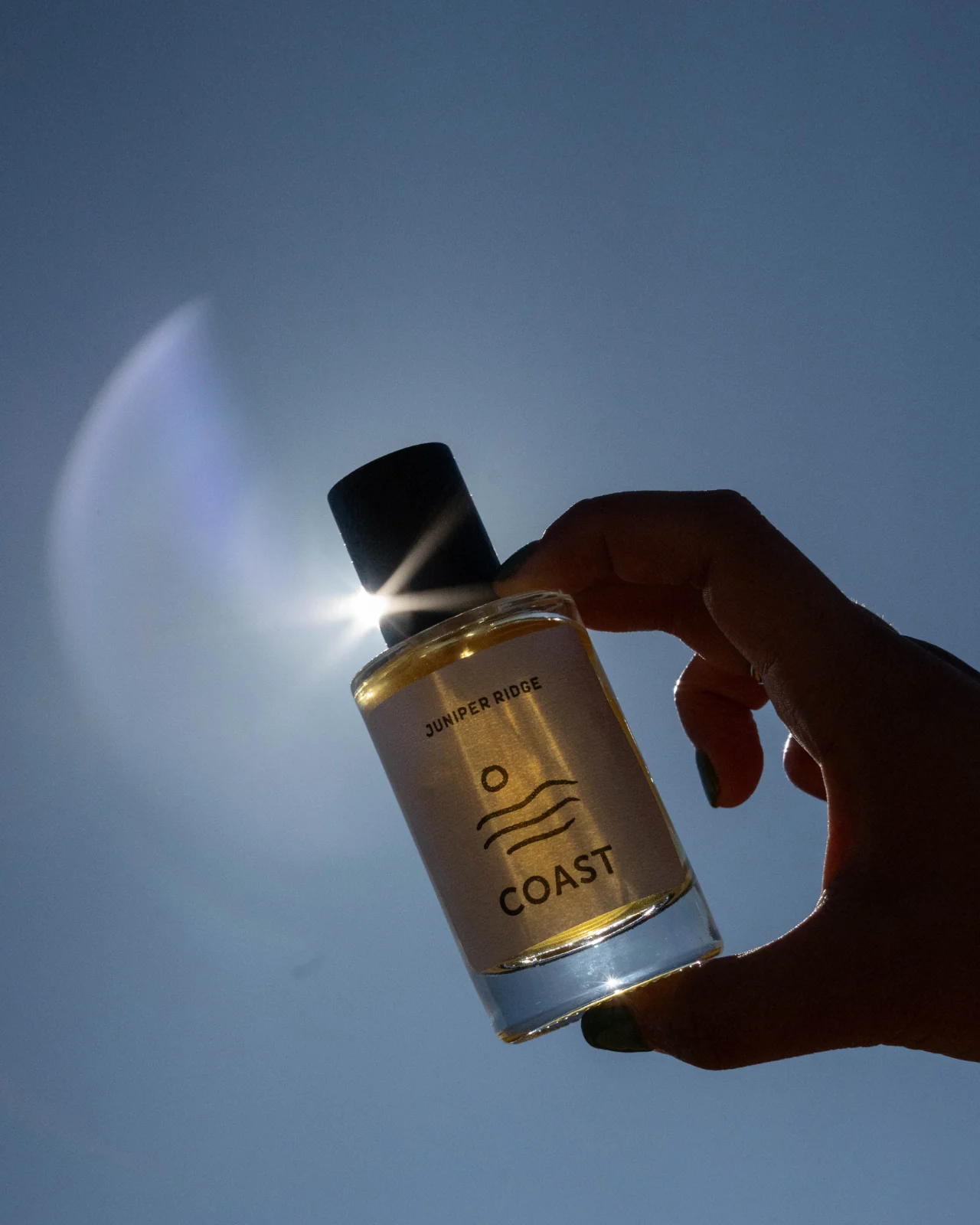 Coast Wilderness Cologne - Image 5