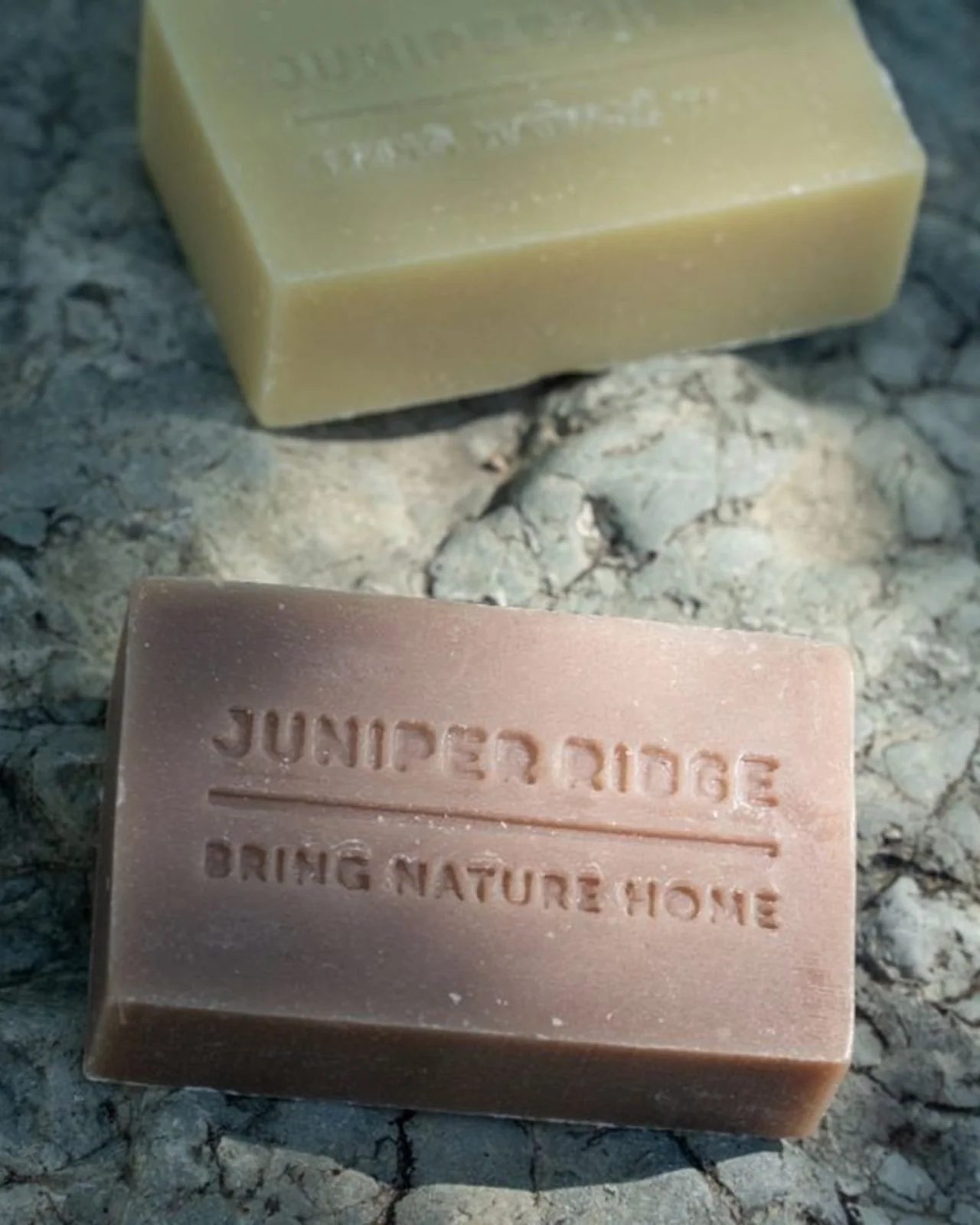 Coastal Pine Bar Soap 3-Pack - Image 4