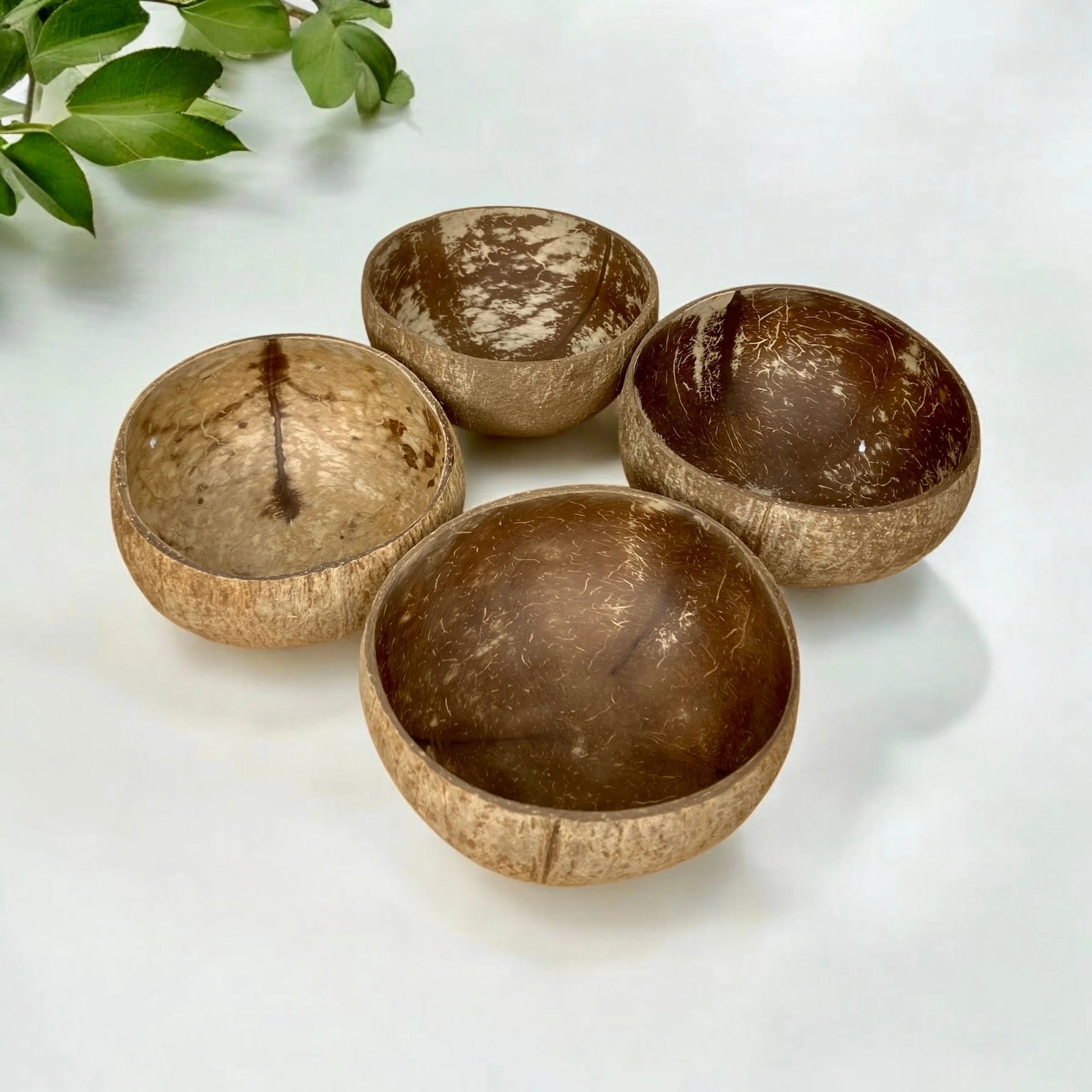 Coconut Bowl - Image 2