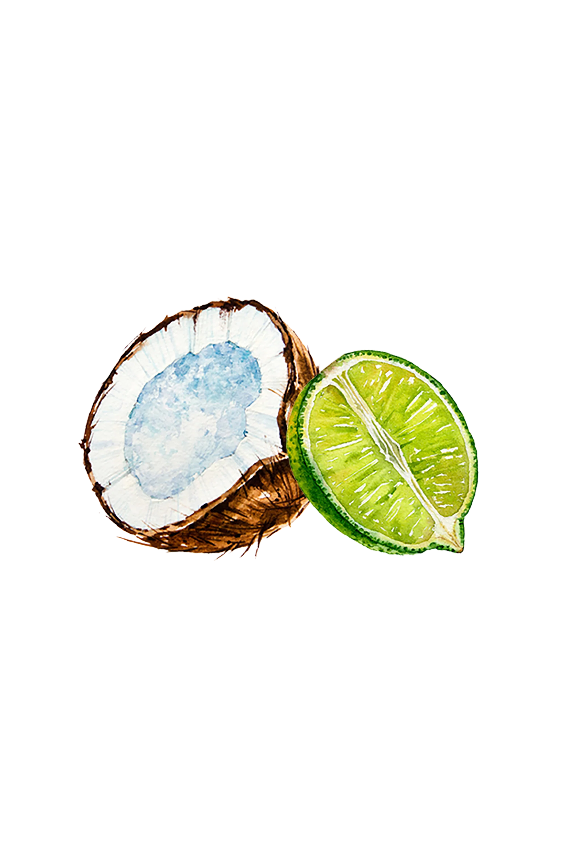 Coconut & Lime EO / FO Blend - Image 2