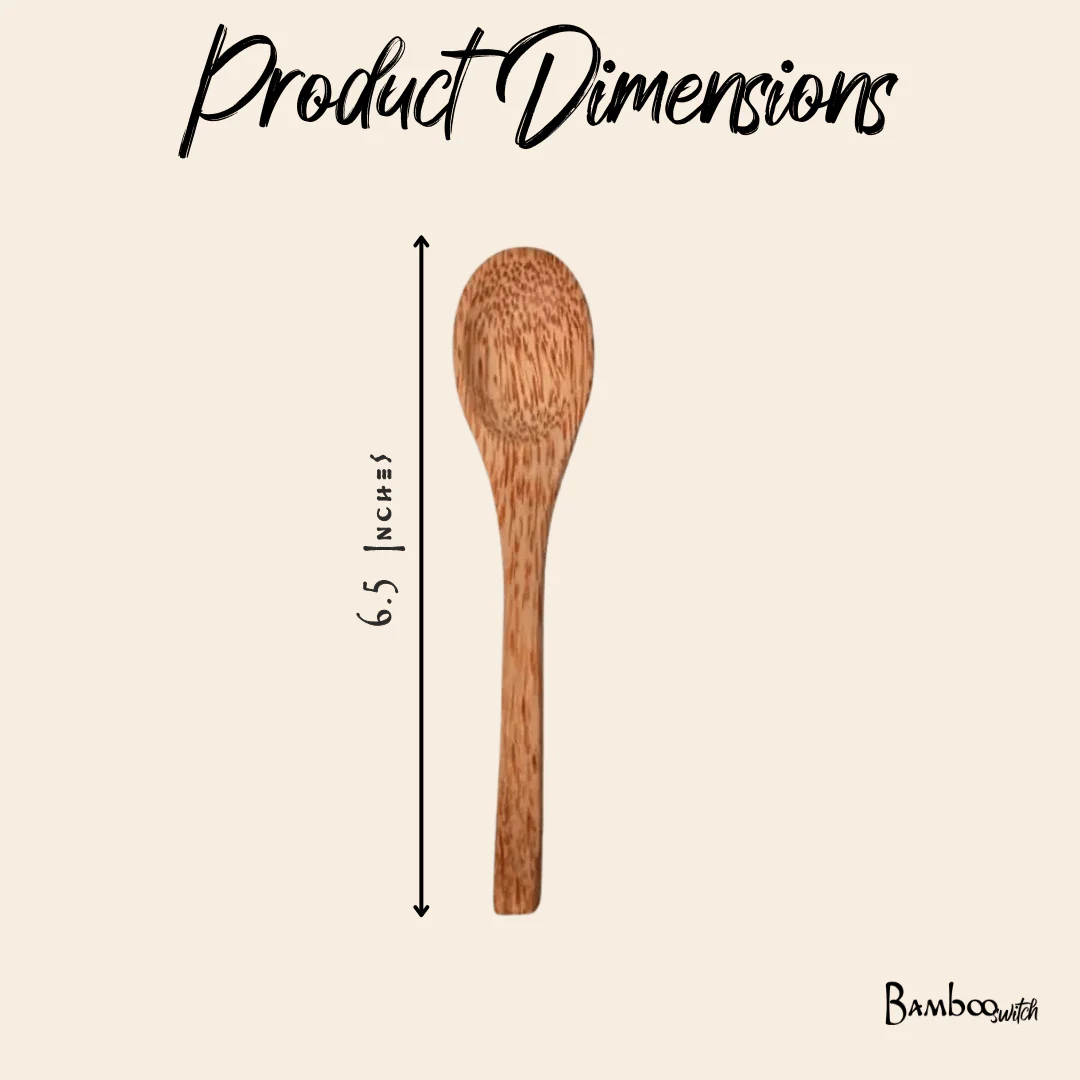 Coconut Utensil - Image 3