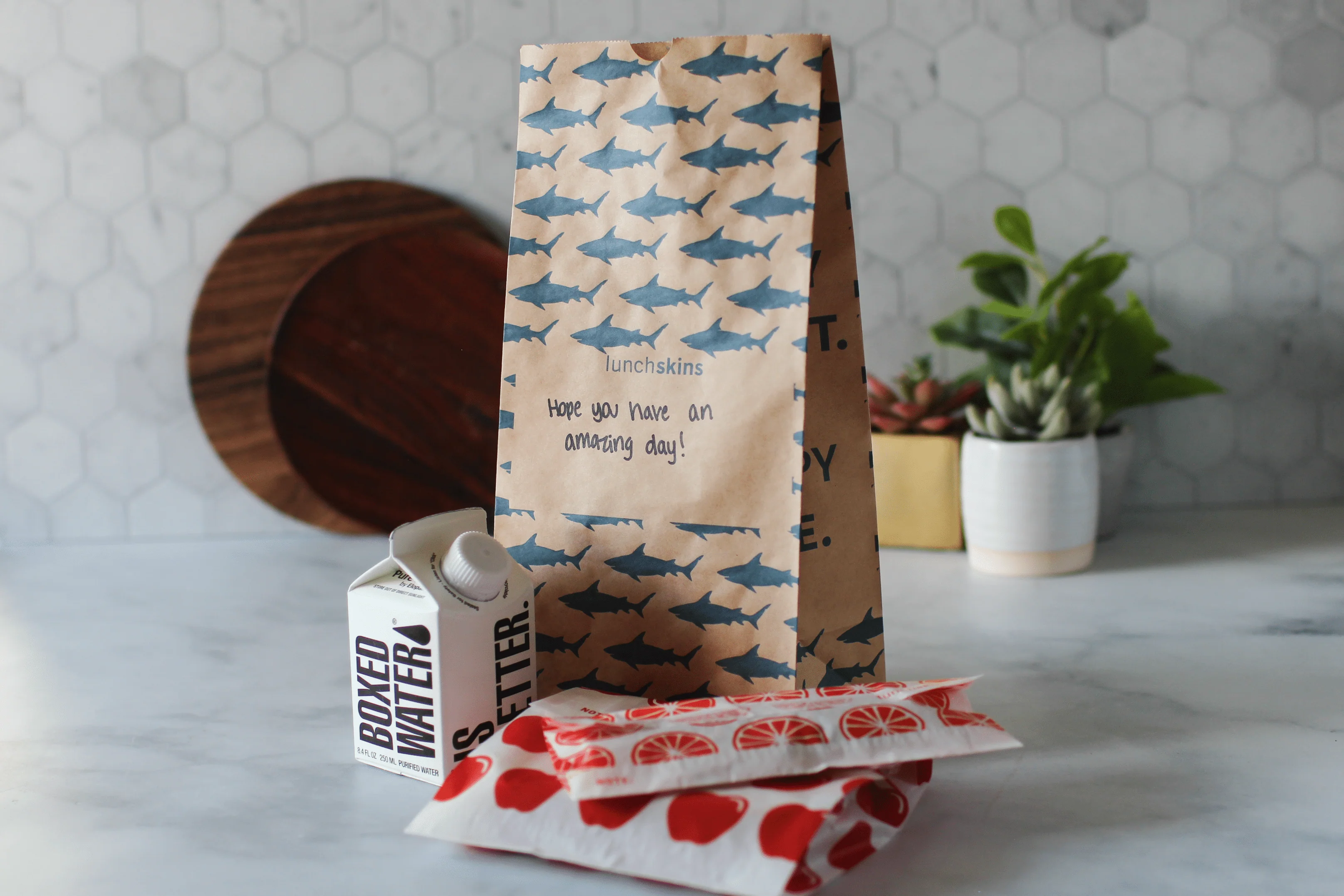 Compostable  Large Lunch Sacs - Image 3