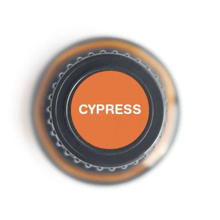 Cypress Pure Essential Oil - 15ml - Image 2