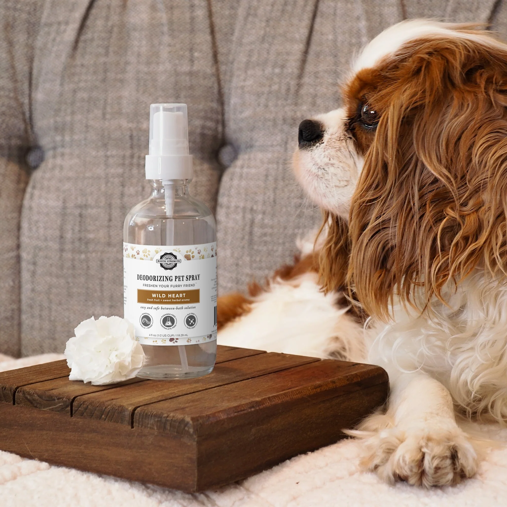 Deodorizing Pet Spray | The Between-Wash Wonder - Image 2