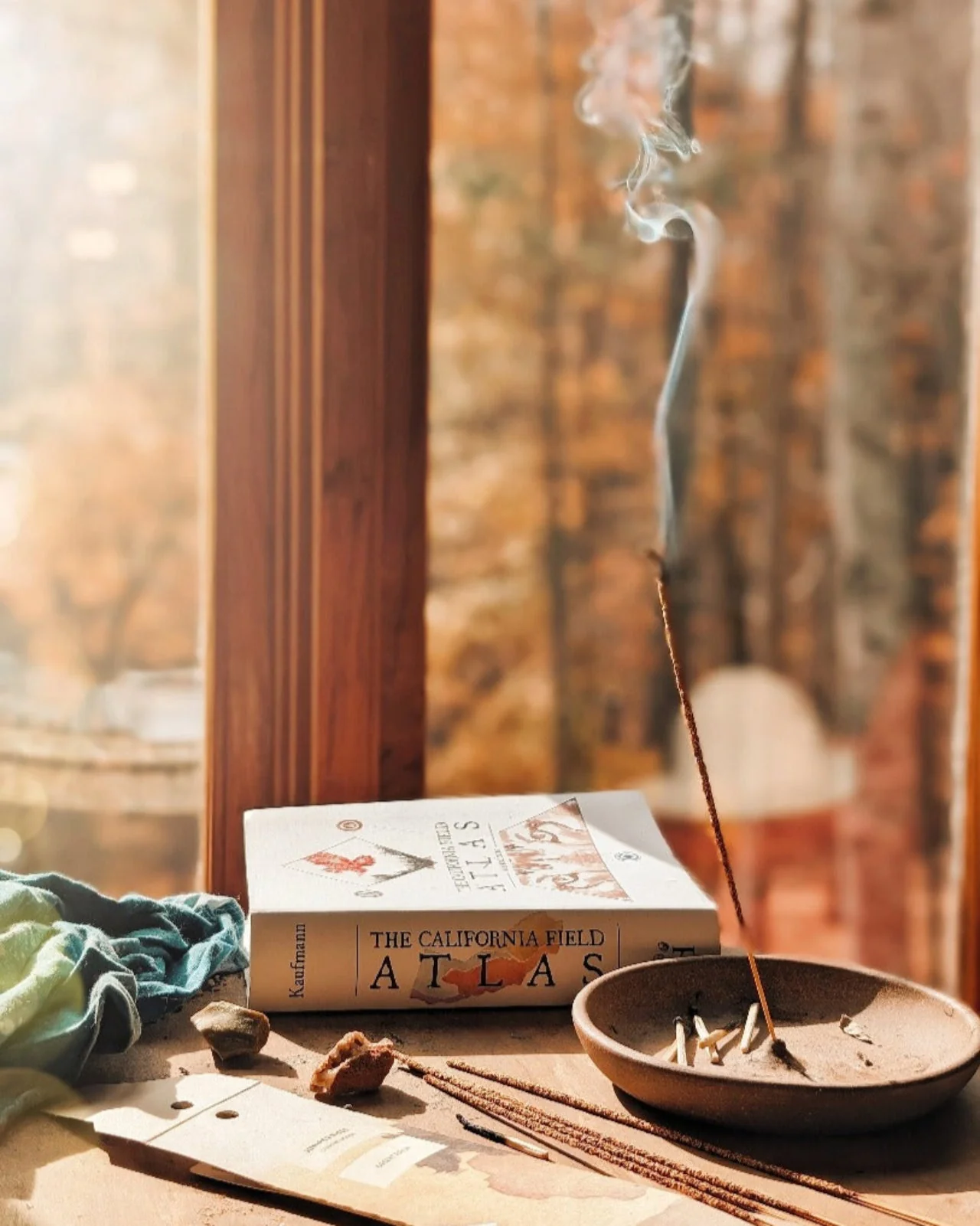 Desert Piñon Campfire Incense (20 Sticks) 3-Pack - Image 2