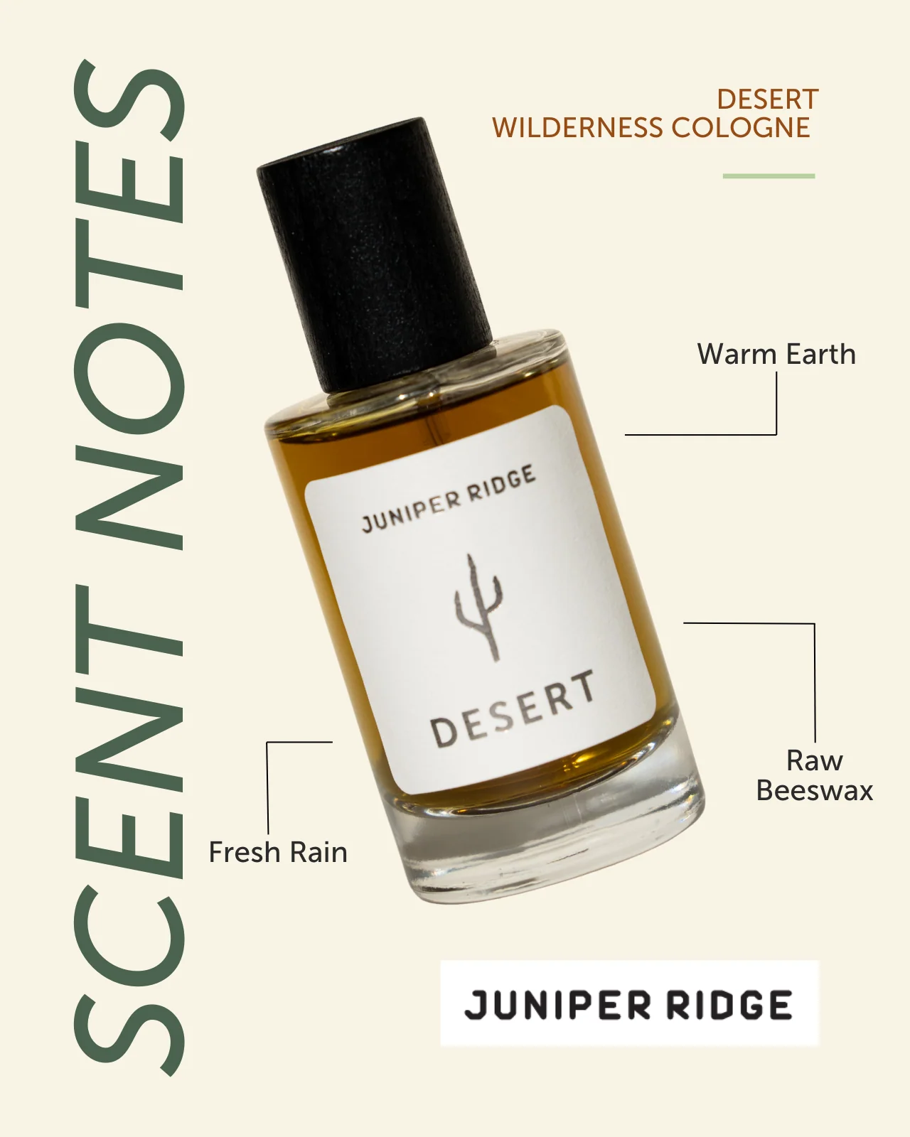 Desert Wilderness Cologne - Image 3