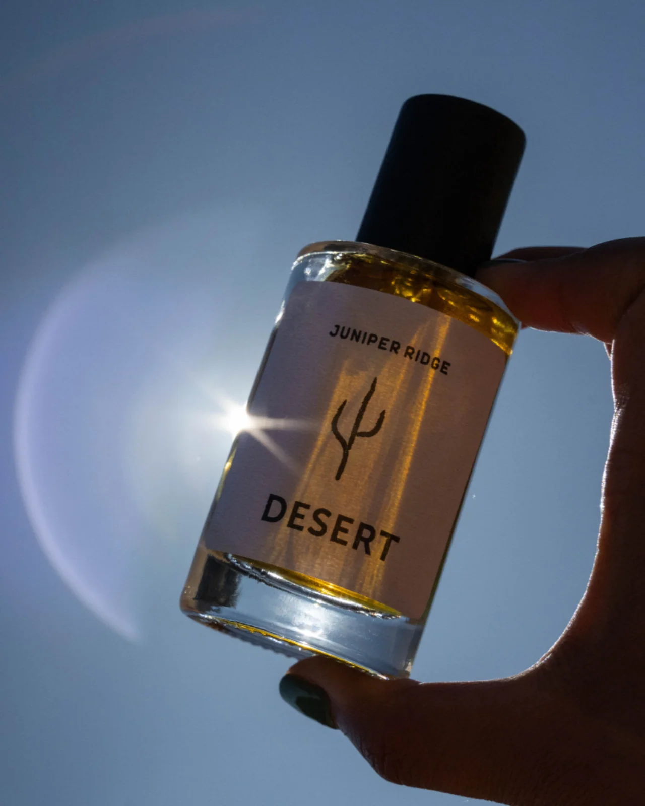 Desert Wilderness Cologne - Image 5