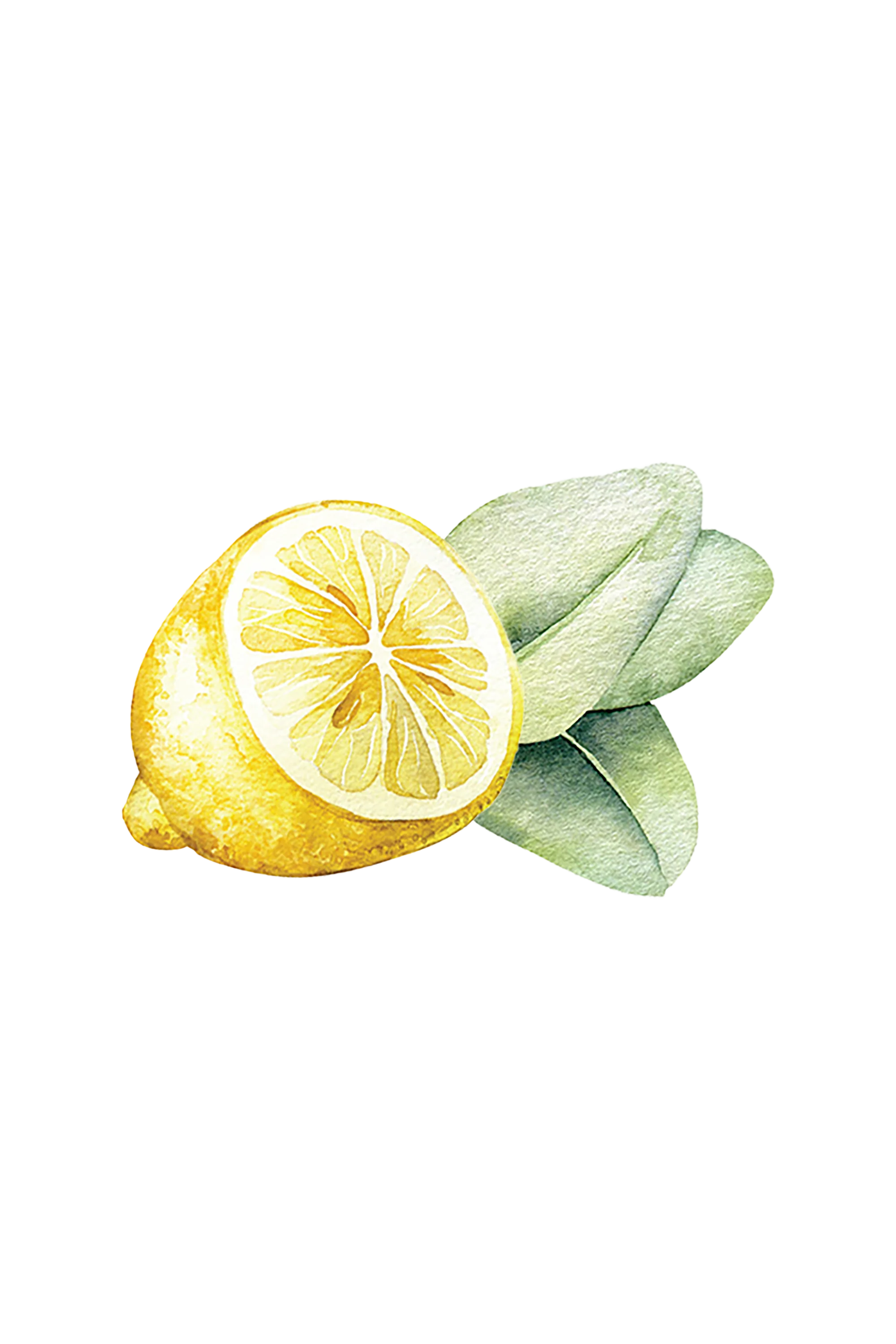 Dish Soap | Lemon & Eucalyptus - Image 2