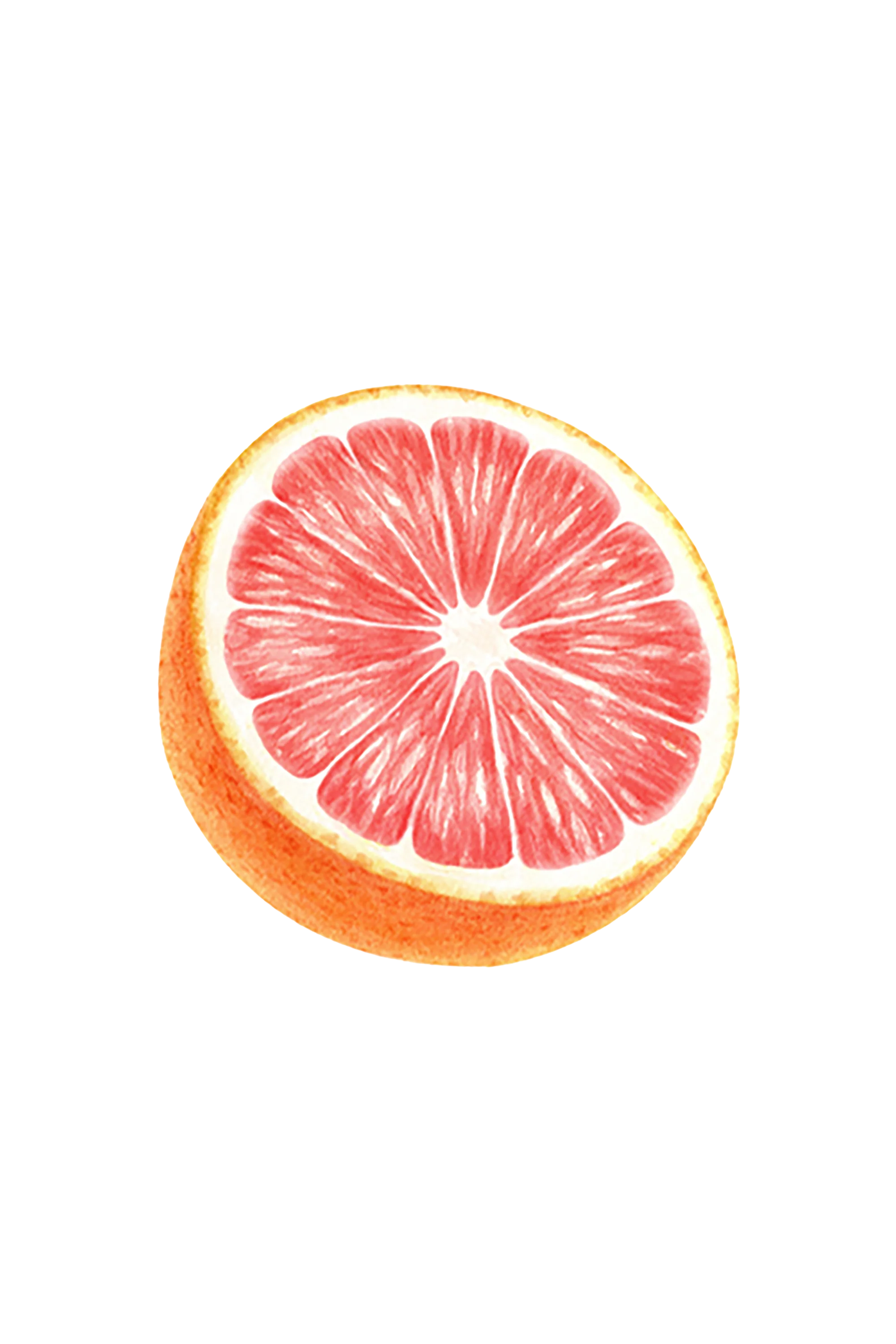 Dish Soap | Pink Grapefruit - Image 2